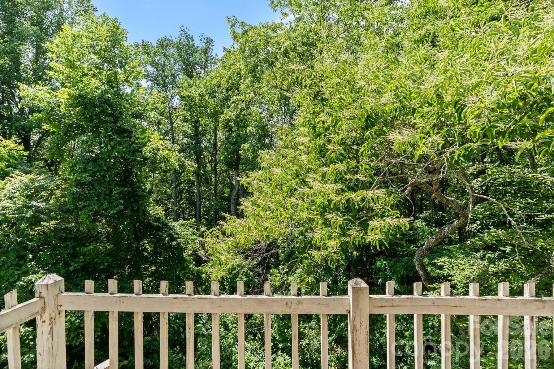 177 Poplar Drive - Photo 19