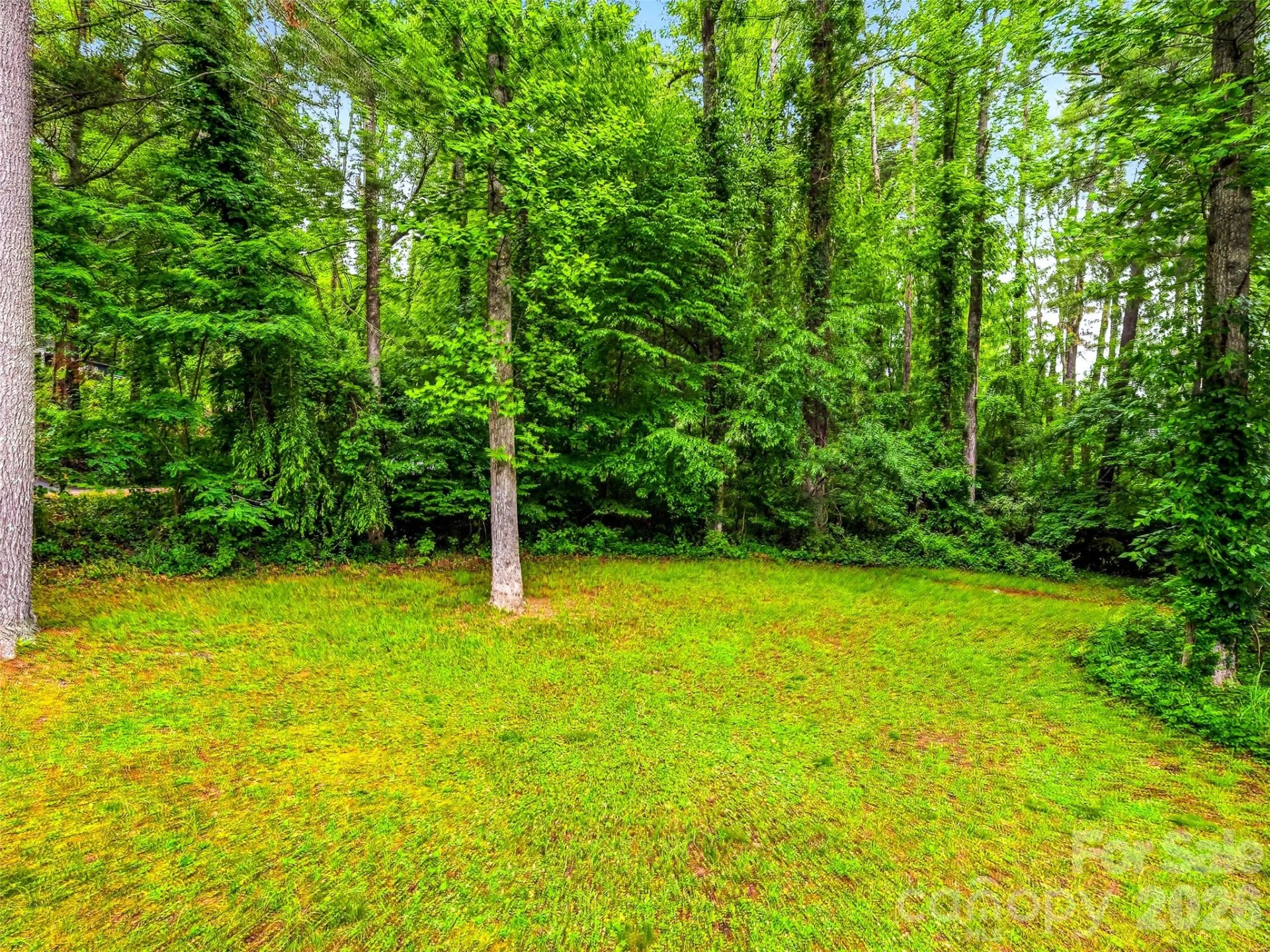 70 Skyline Drive - Photo 44