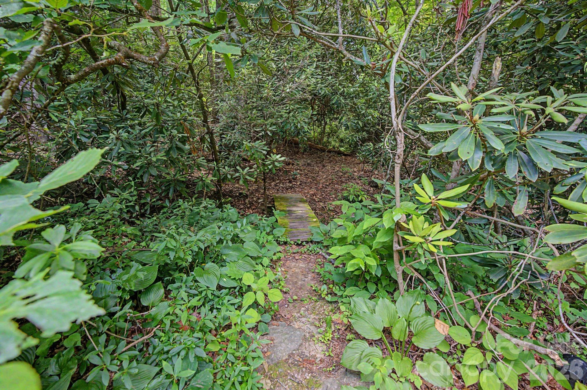 878 Garren Creek Road - Photo 45