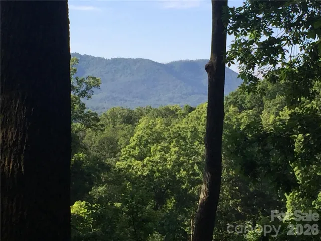 20 Lagrange Drive, Asheville, NC, 28805