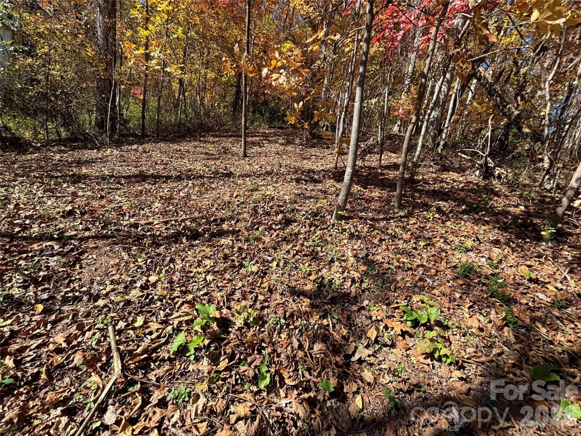 20 Lagrange Drive - Photo 15