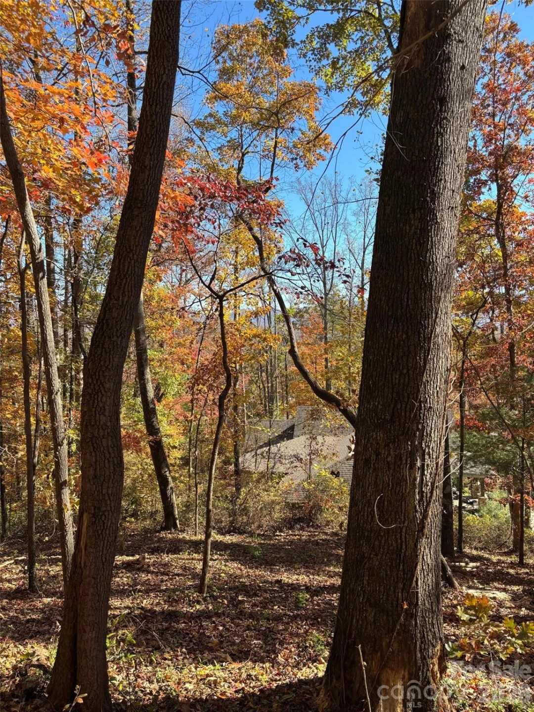 20 Lagrange Drive - Photo 19