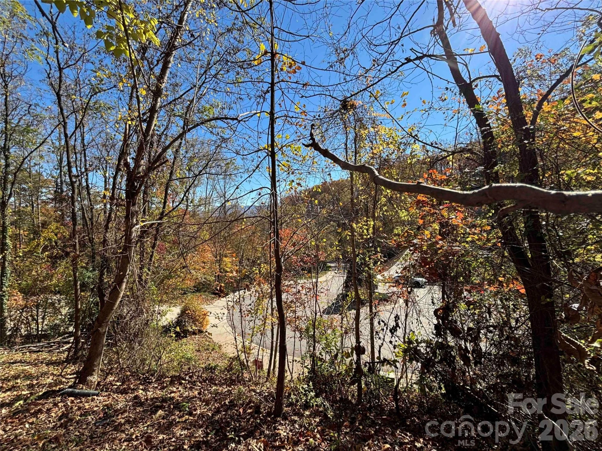 20 Lagrange Drive - Photo 6