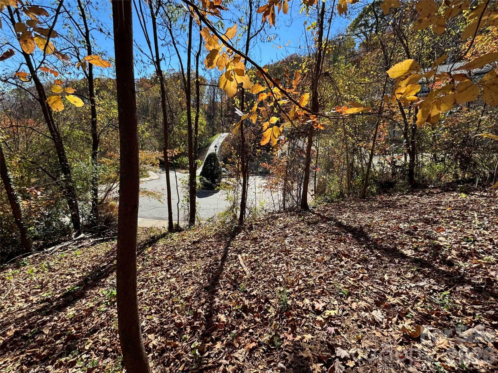 20 Lagrange Drive - Photo 7