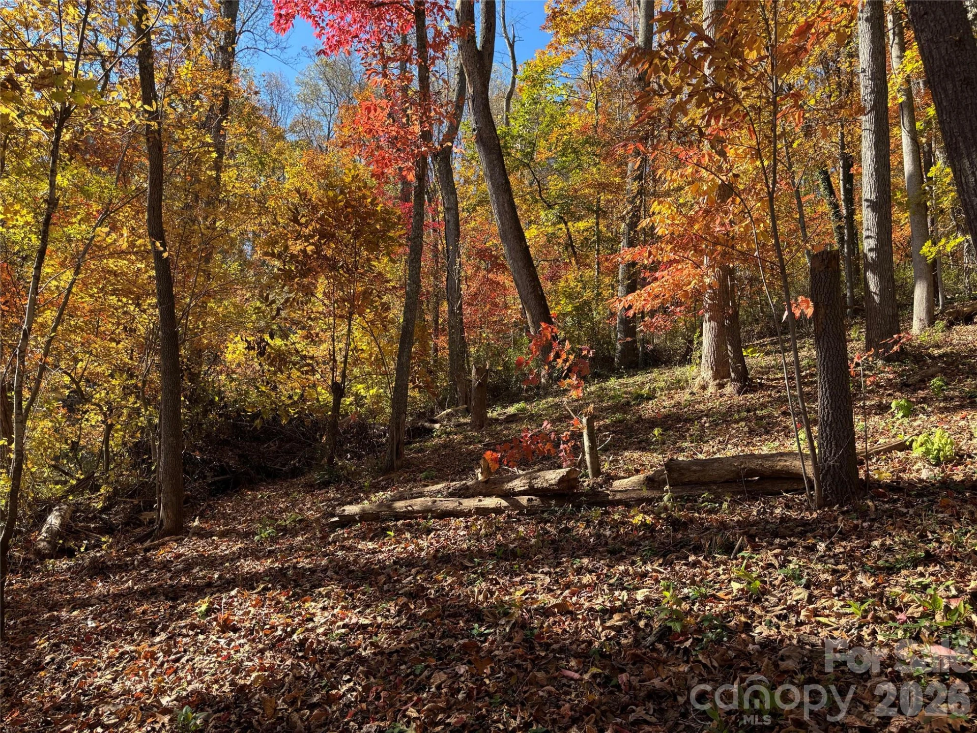 20 Lagrange Drive - Photo 9