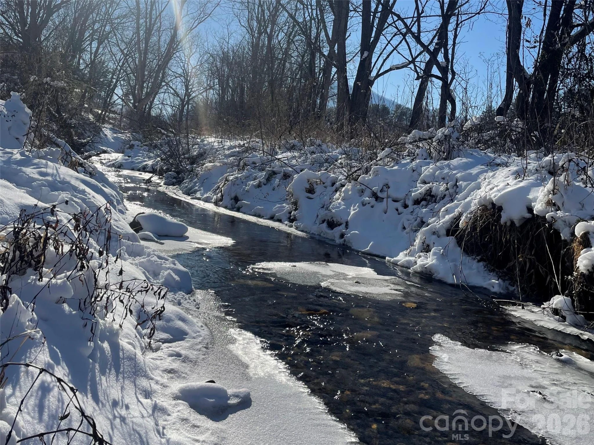 923 Newfound Road - Photo 28