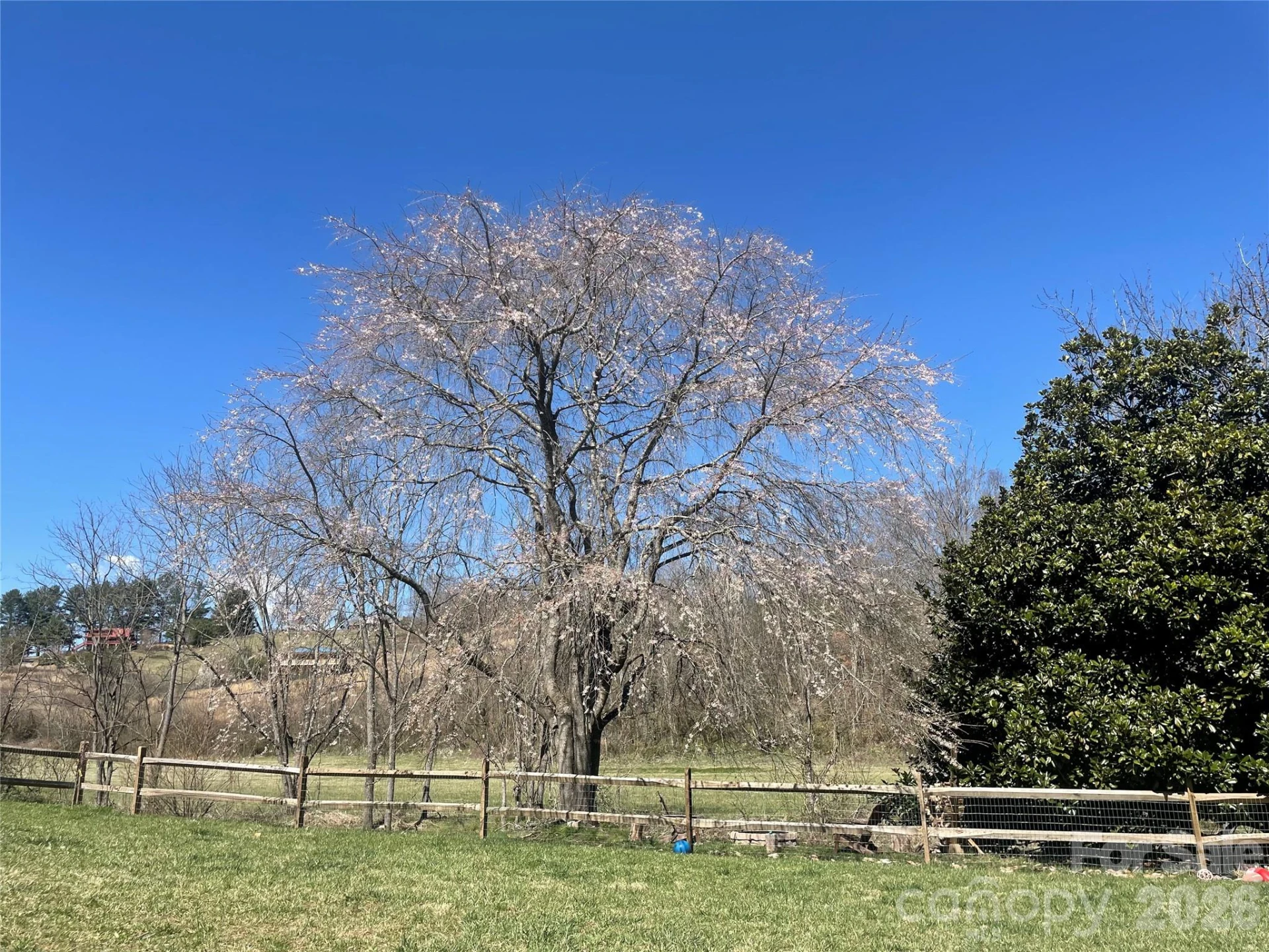 923 Newfound Road - Photo 39