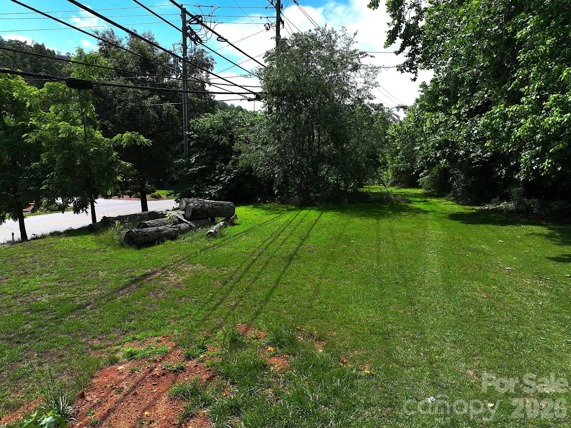 99999 Old Weaverville Road - Photo 11