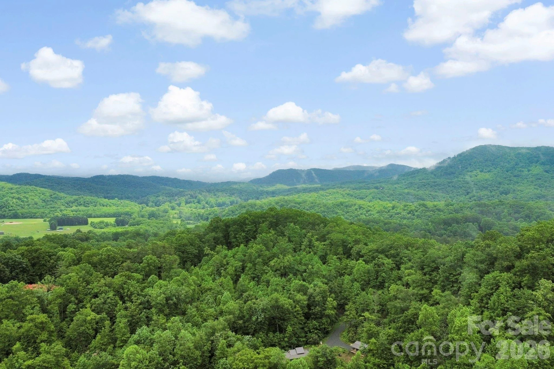 153 Gray Fox Road #5 - Photo 28