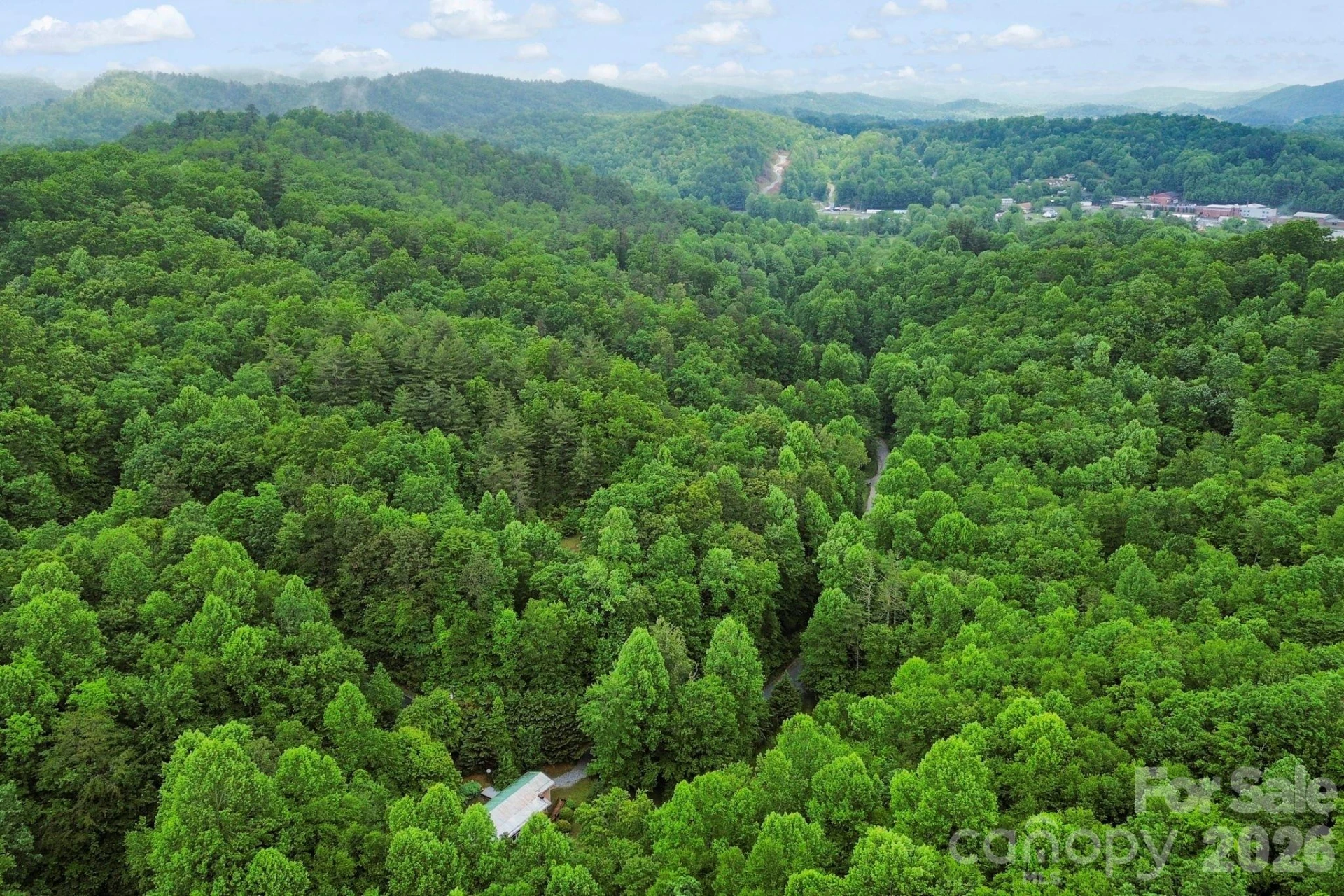 153 Gray Fox Road #5 - Photo 29