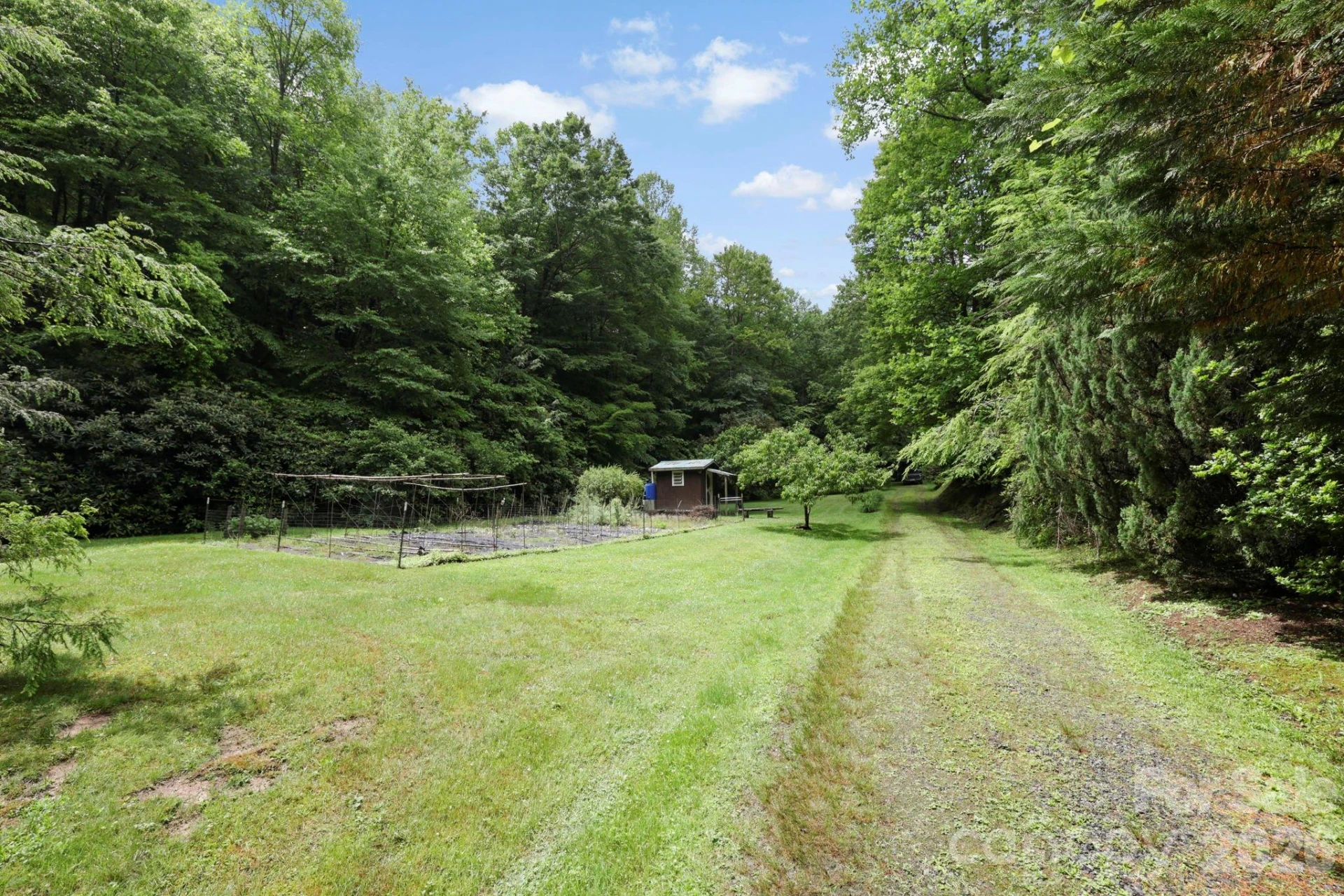 153 Gray Fox Road #5 - Photo 6
