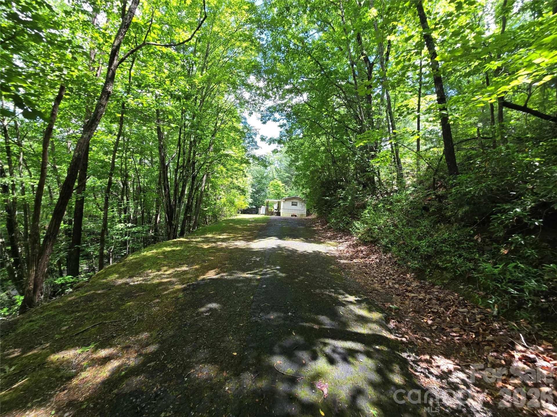6 Rain Cloud Road - Photo 3