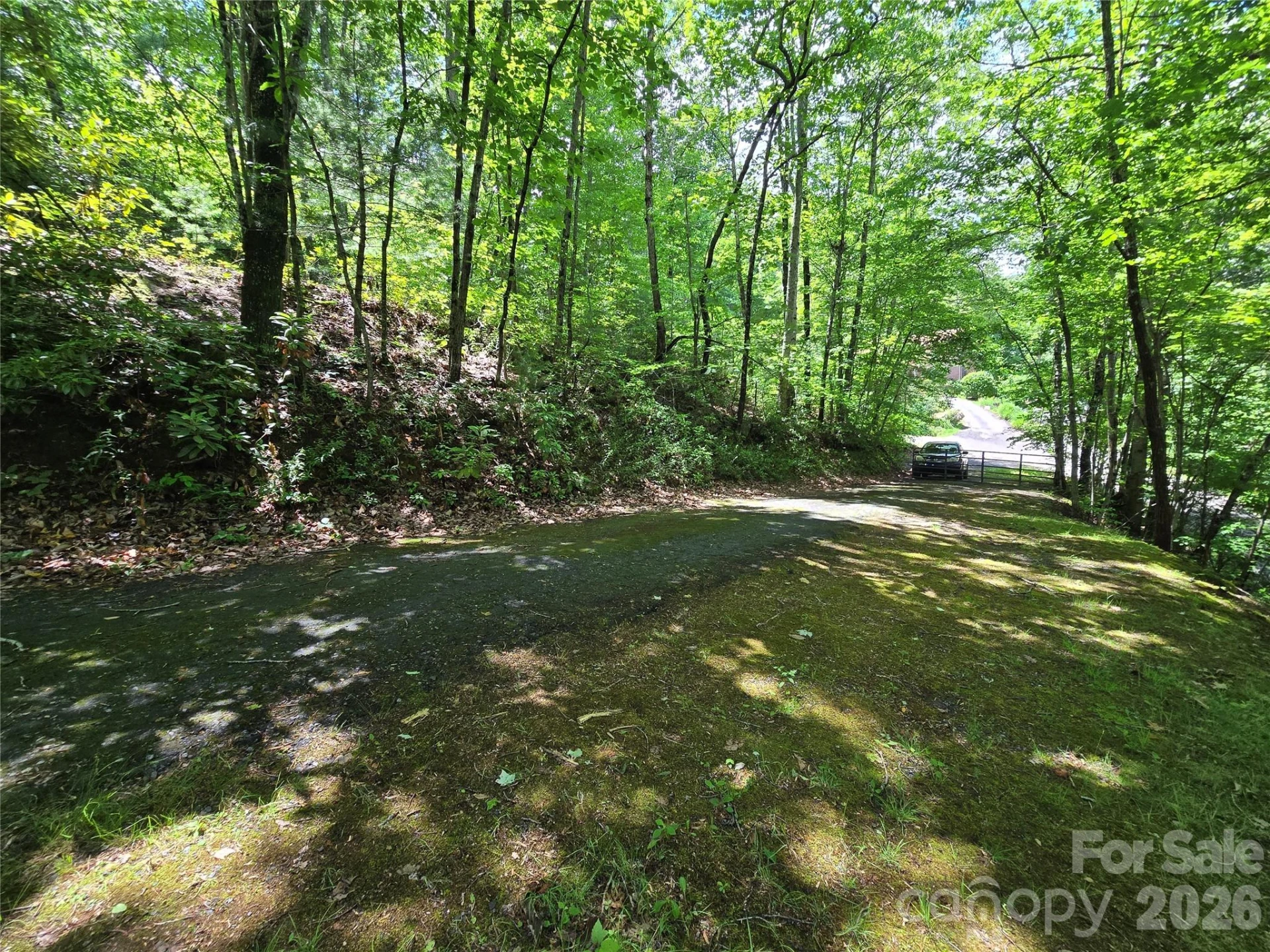 6 Rain Cloud Road - Photo 4