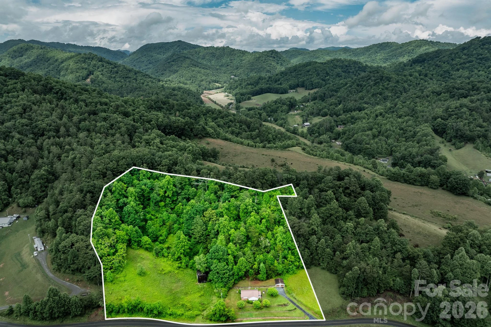 302 Sprinkle Branch Road - Photo 5