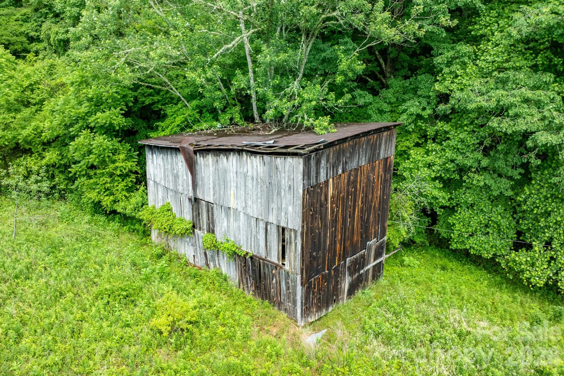 302 Sprinkle Branch Road - Photo 10