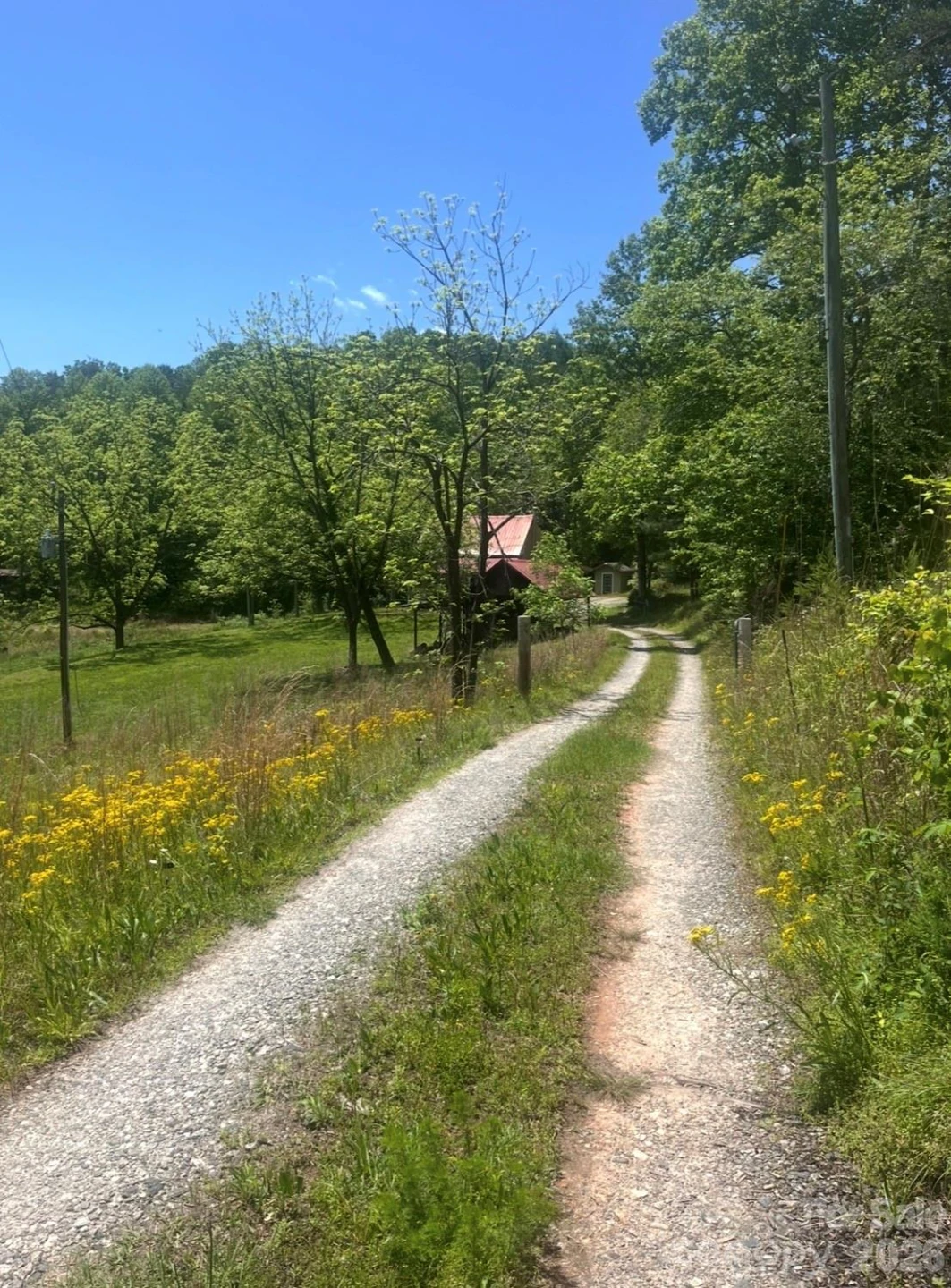 1239 McGuinn Road - Photo 31
