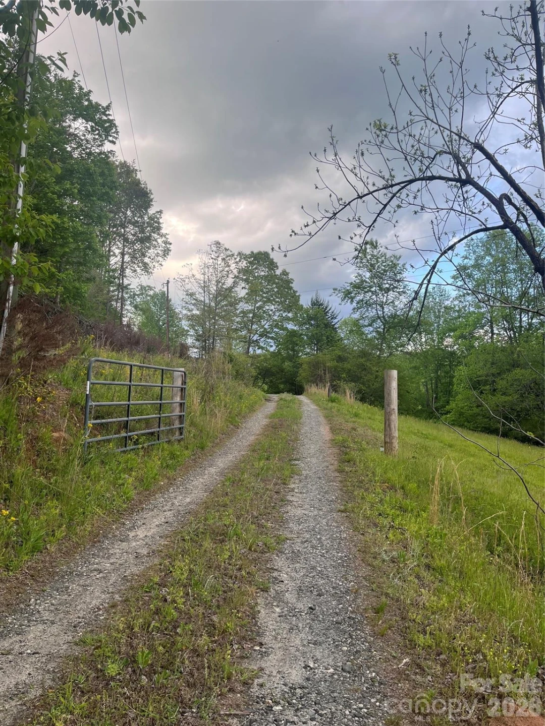 1239 McGuinn Road - Photo 10