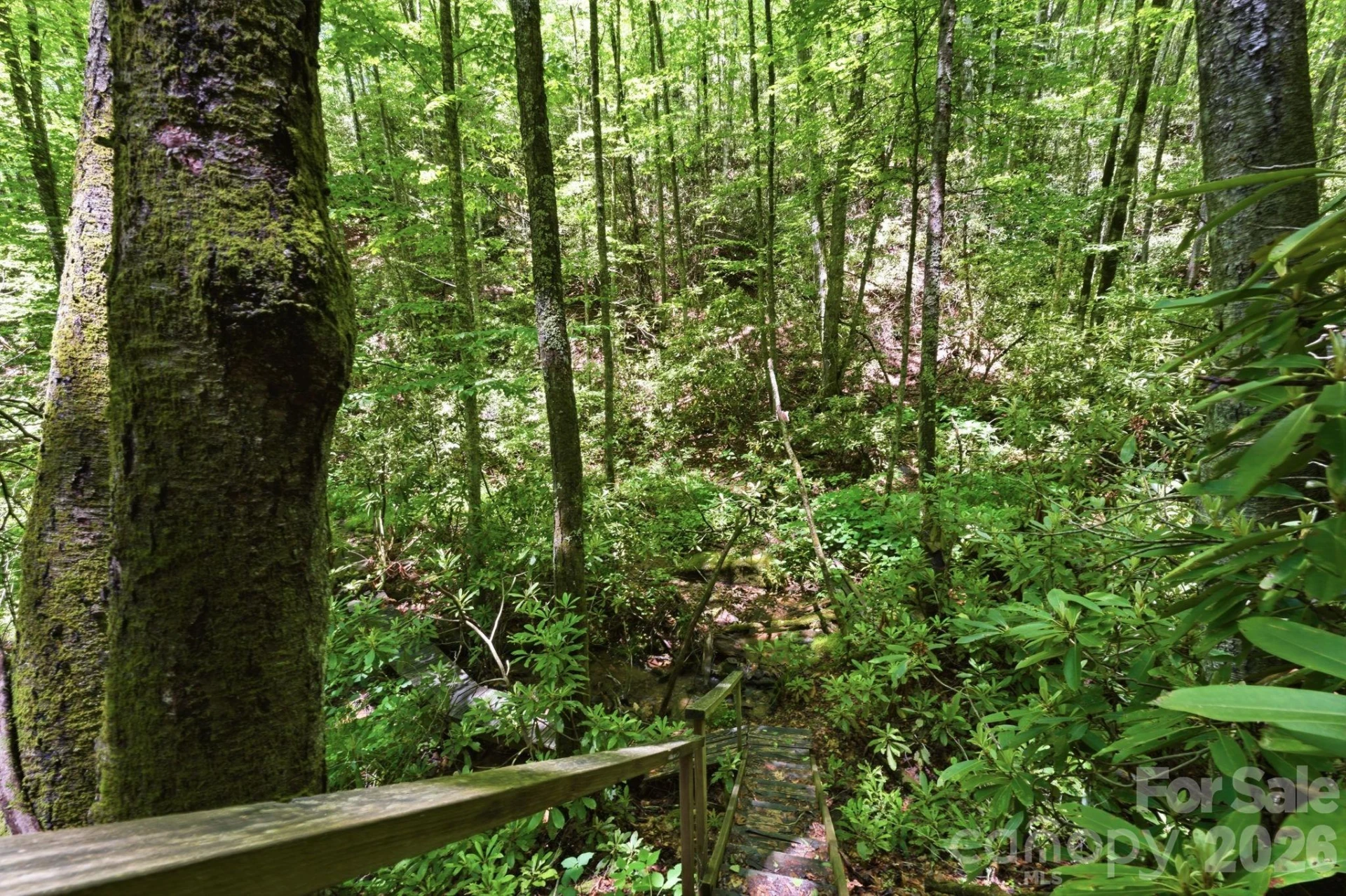 311 Copper Spur Drive - Photo 37