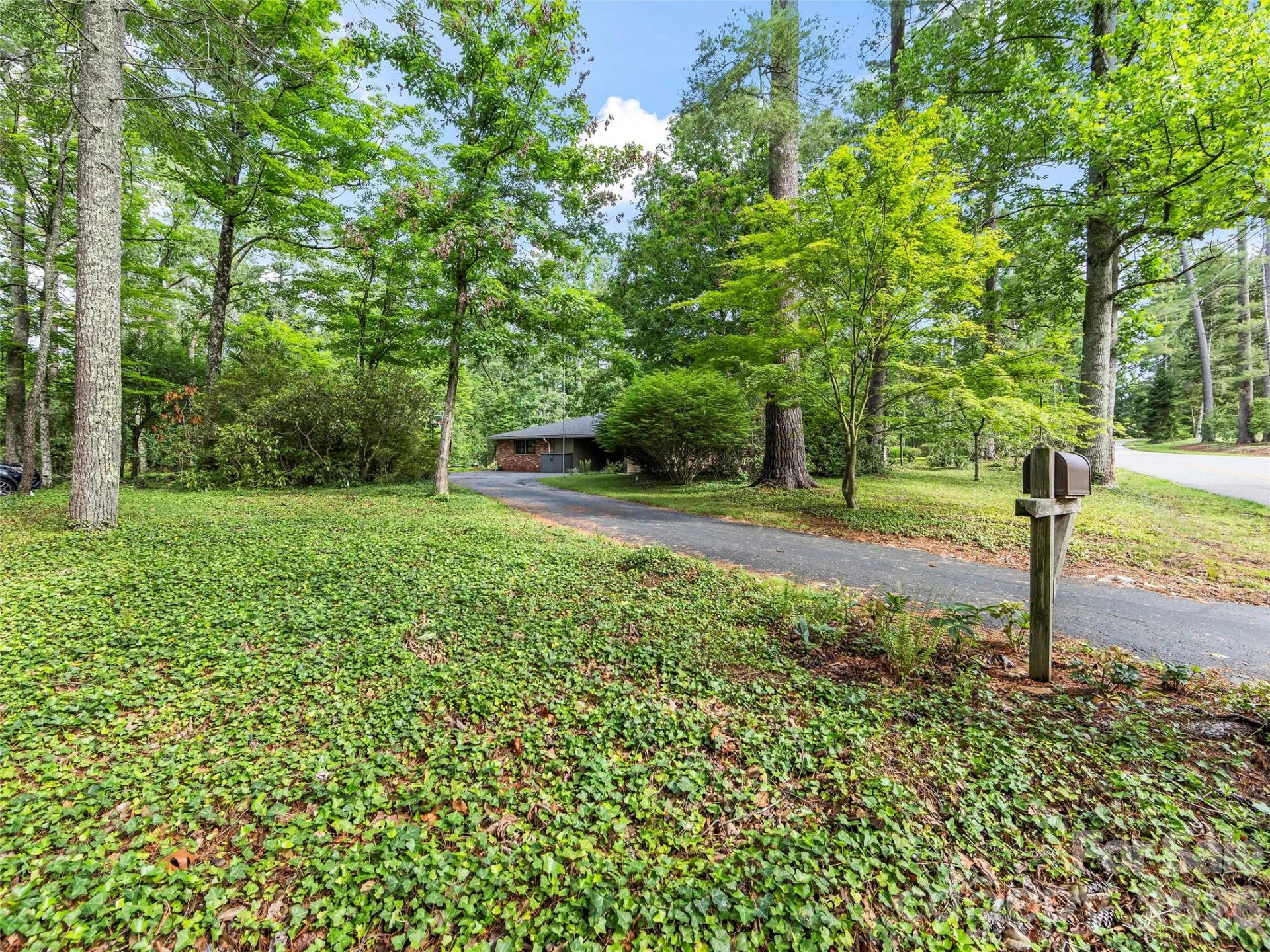 423 Vanderbilt Road - Photo 48