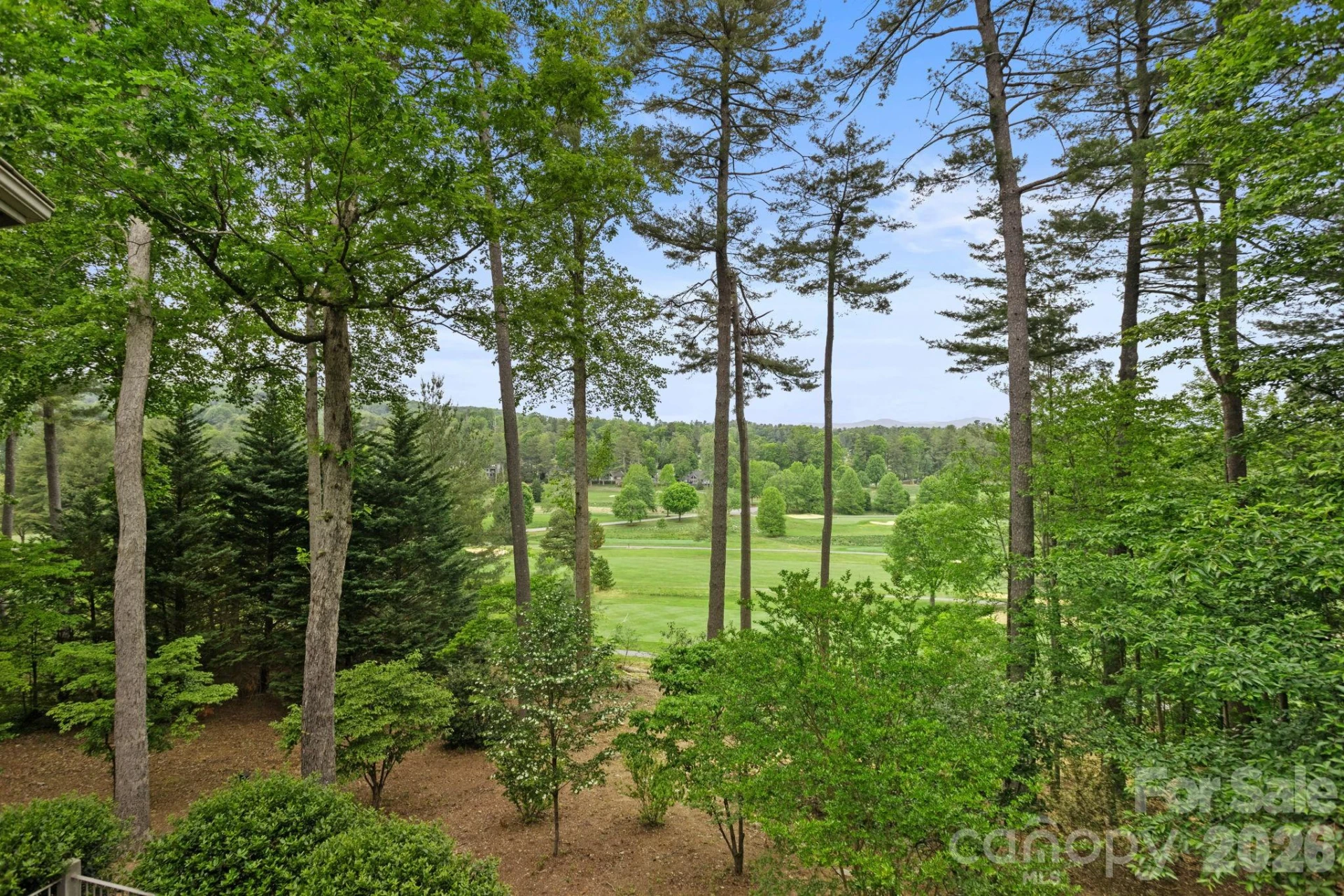 209 Pineholt Lane - Photo 6