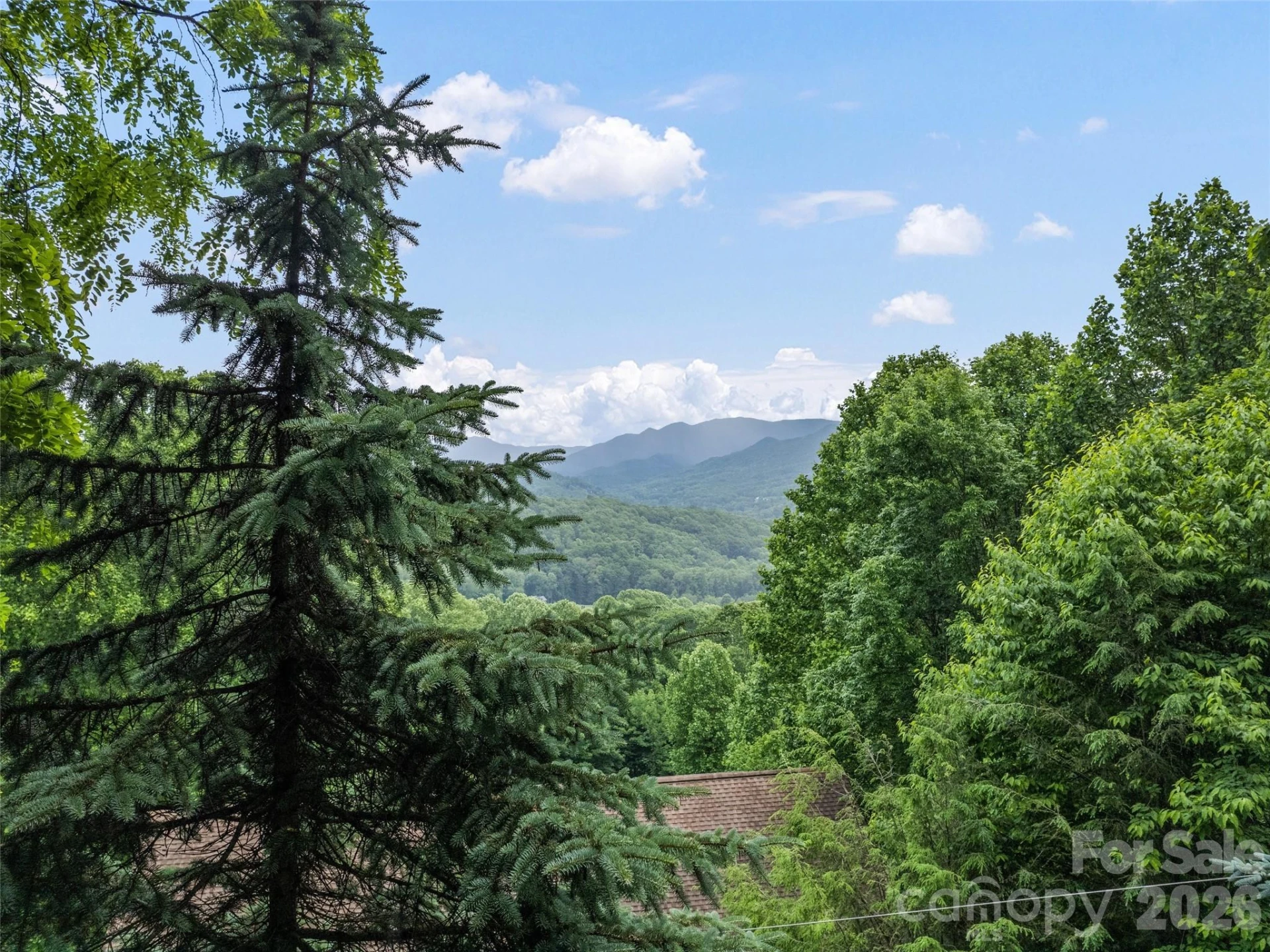 104 The High Road - Photo 5