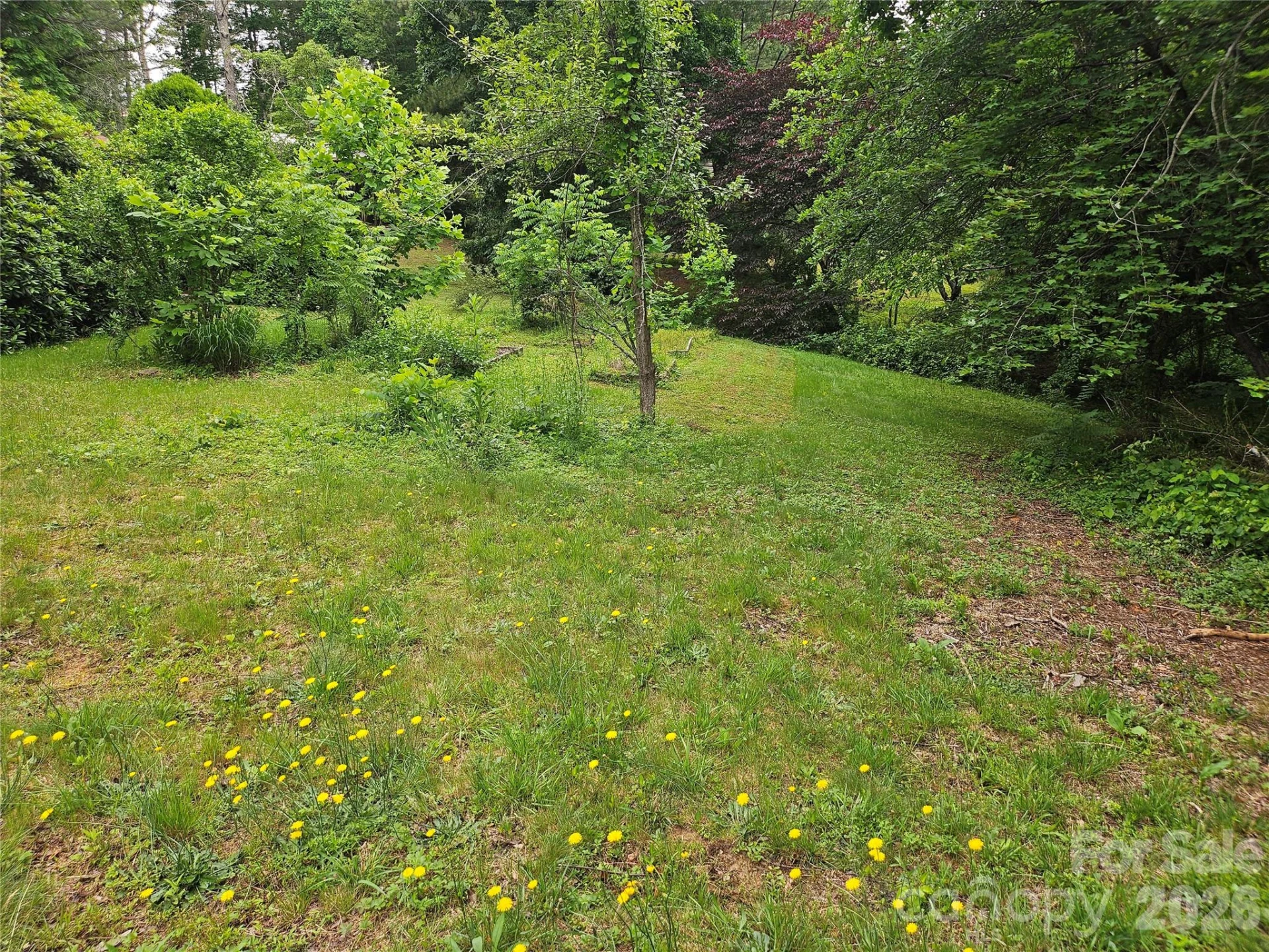 610 Emmas Grove Road - Photo 2