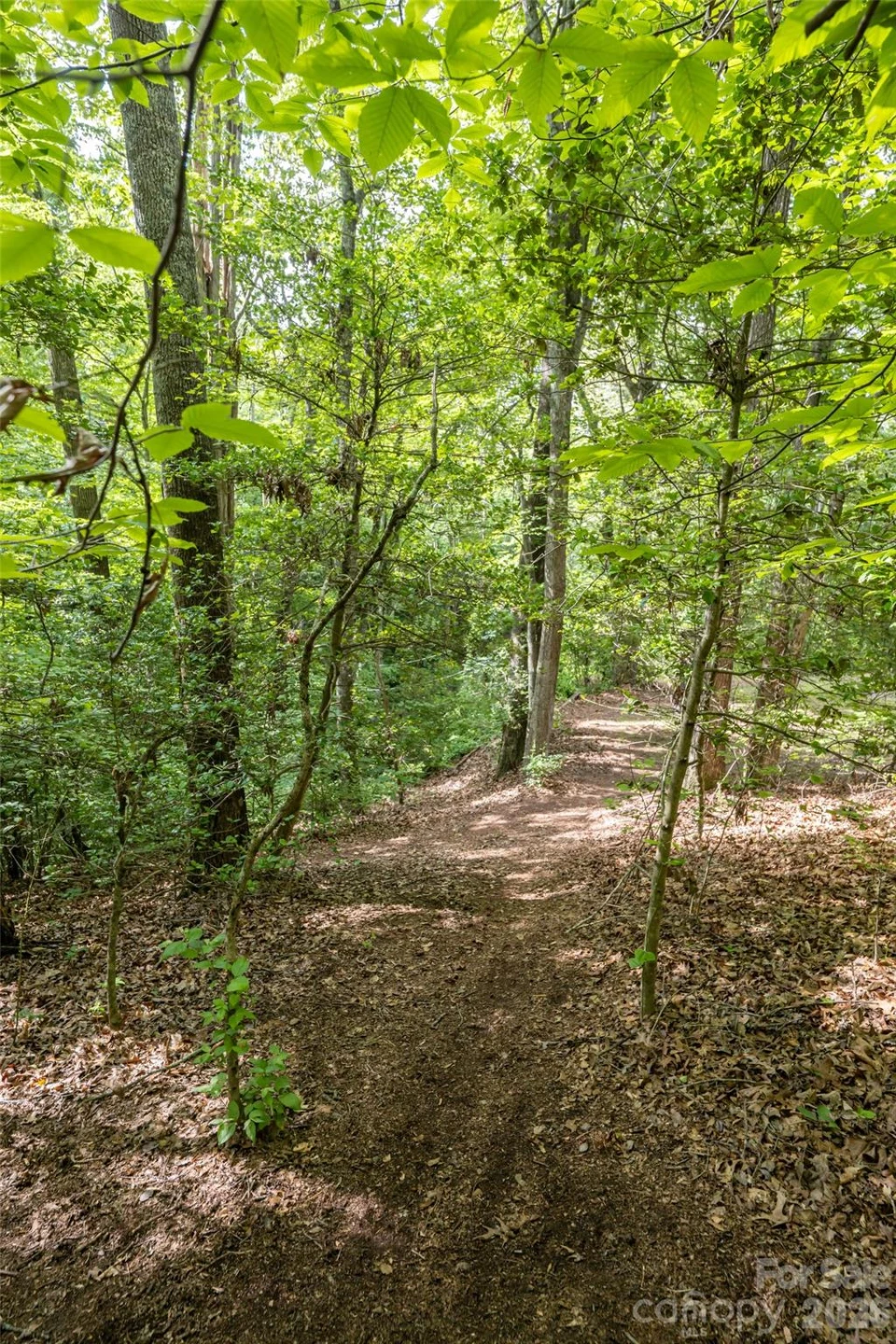 34 Wintercrest Drive - Photo 11