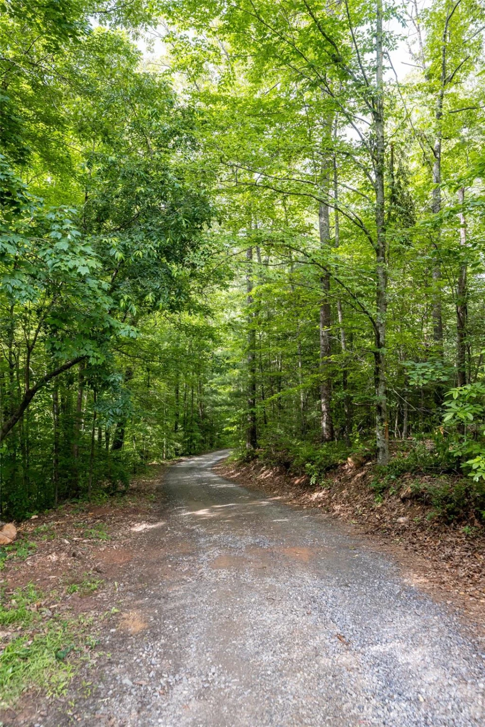 34 Wintercrest Drive - Photo 14