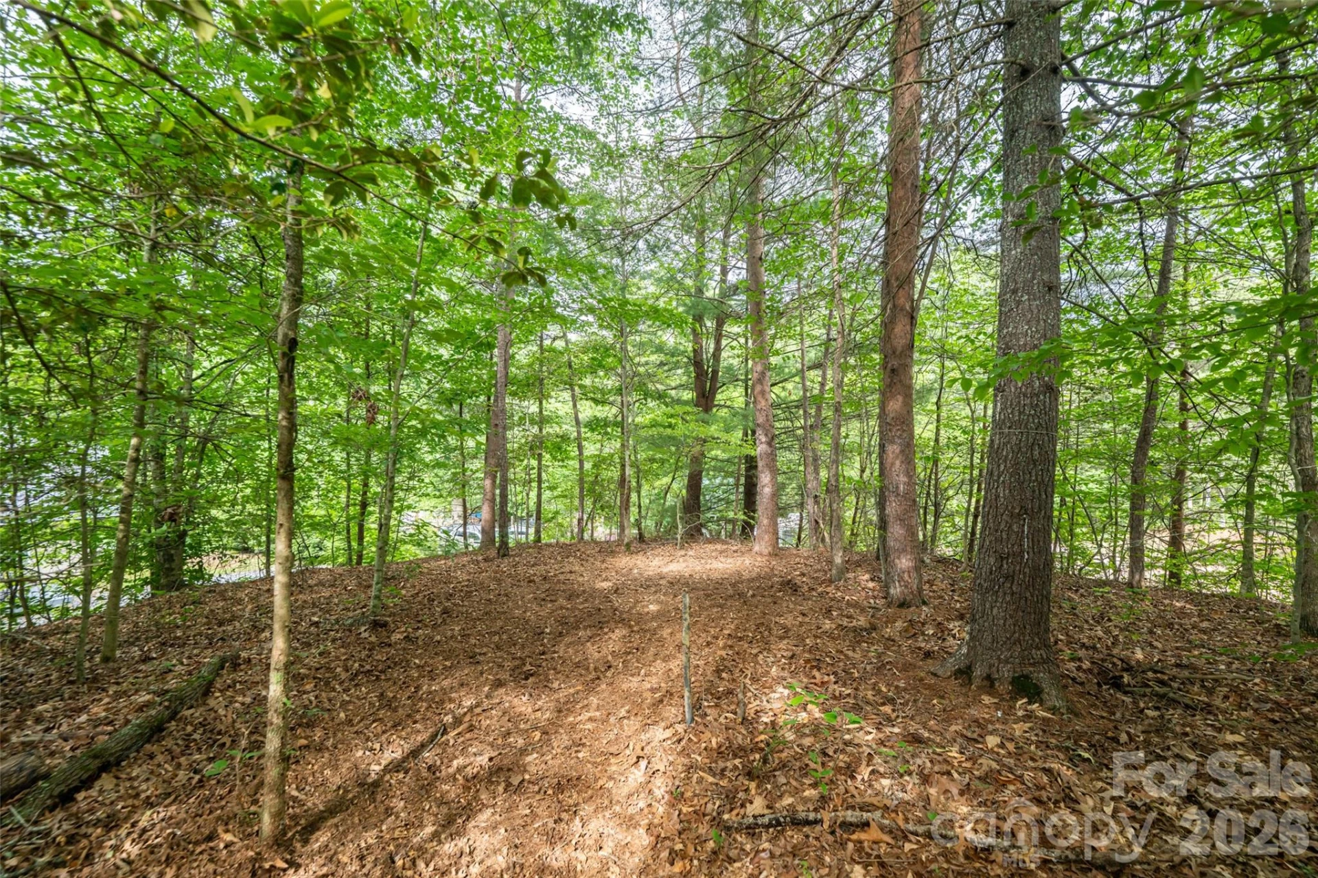 34 Wintercrest Drive - Photo 9