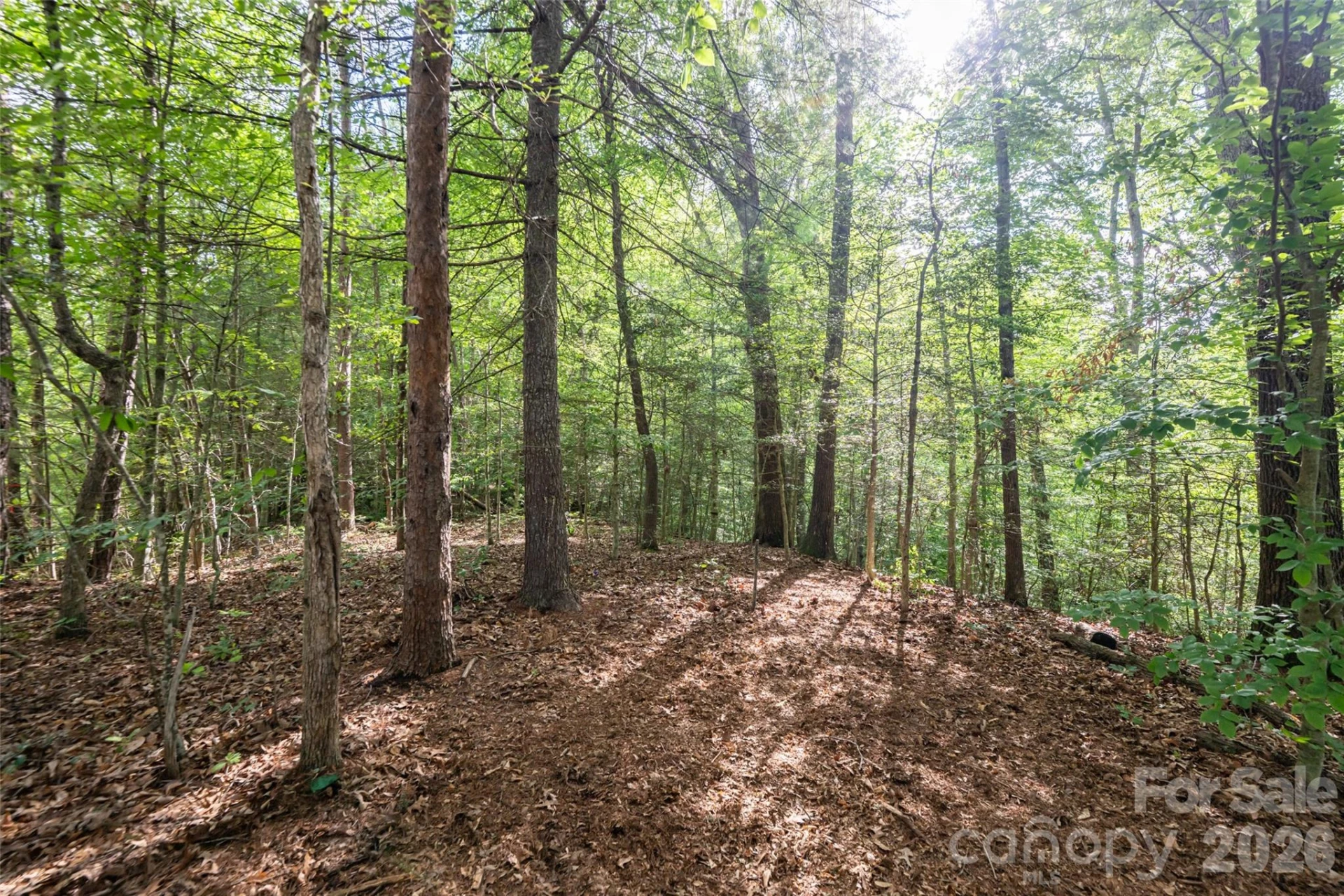 34 Wintercrest Drive - Photo 10