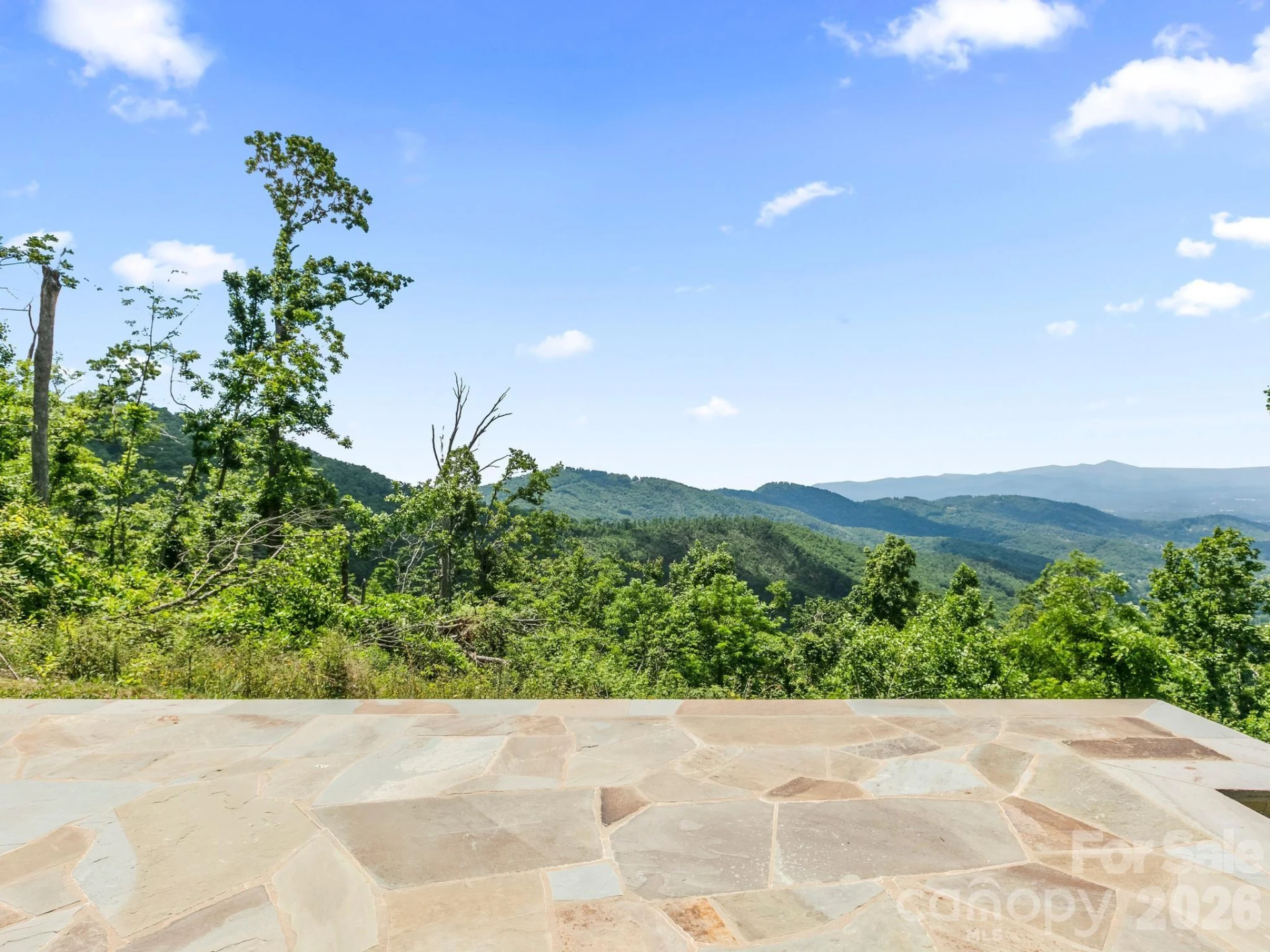 41 Windy Ridge Trail - Photo 26