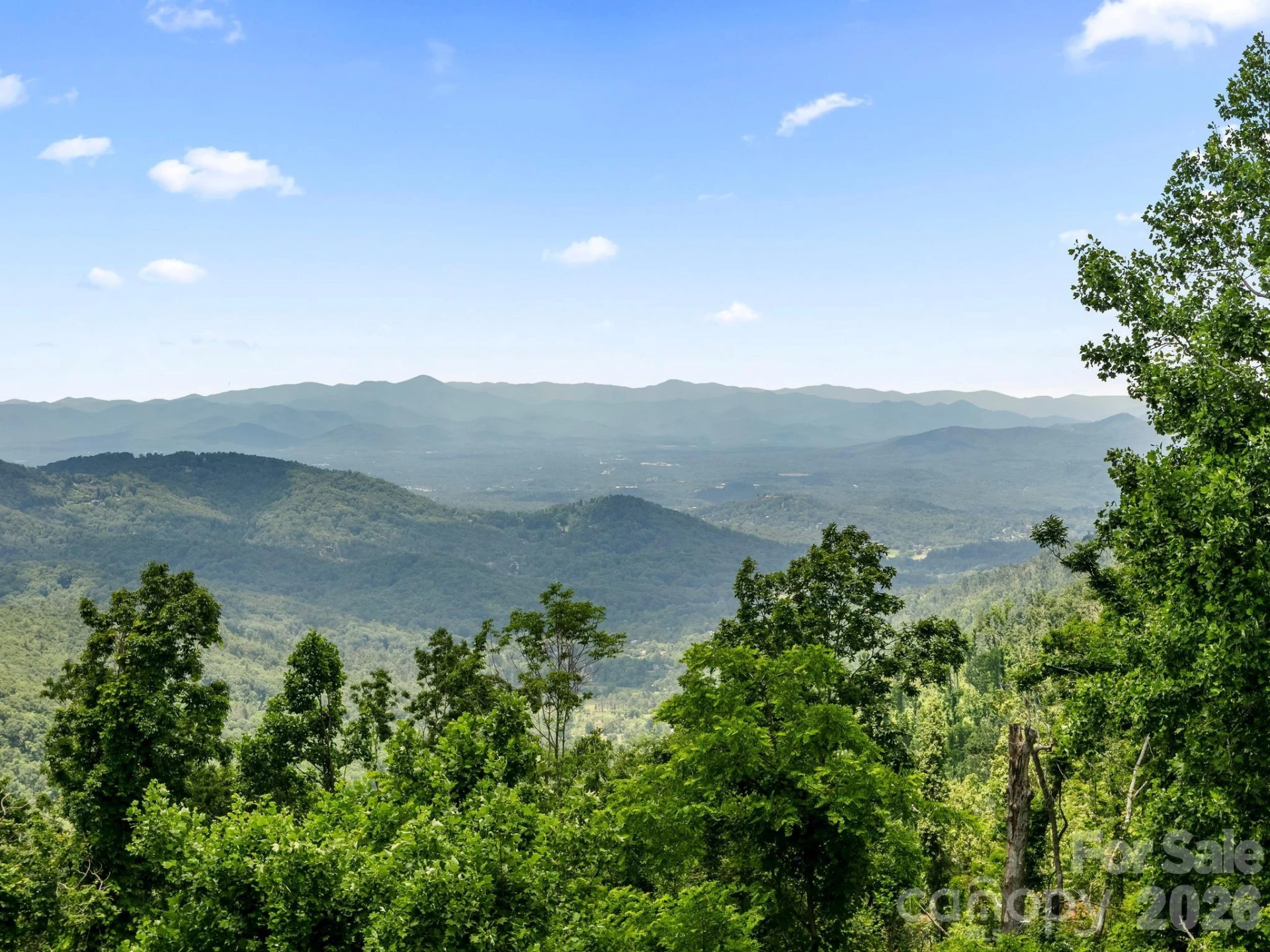 41 Windy Ridge Trail - Photo 35