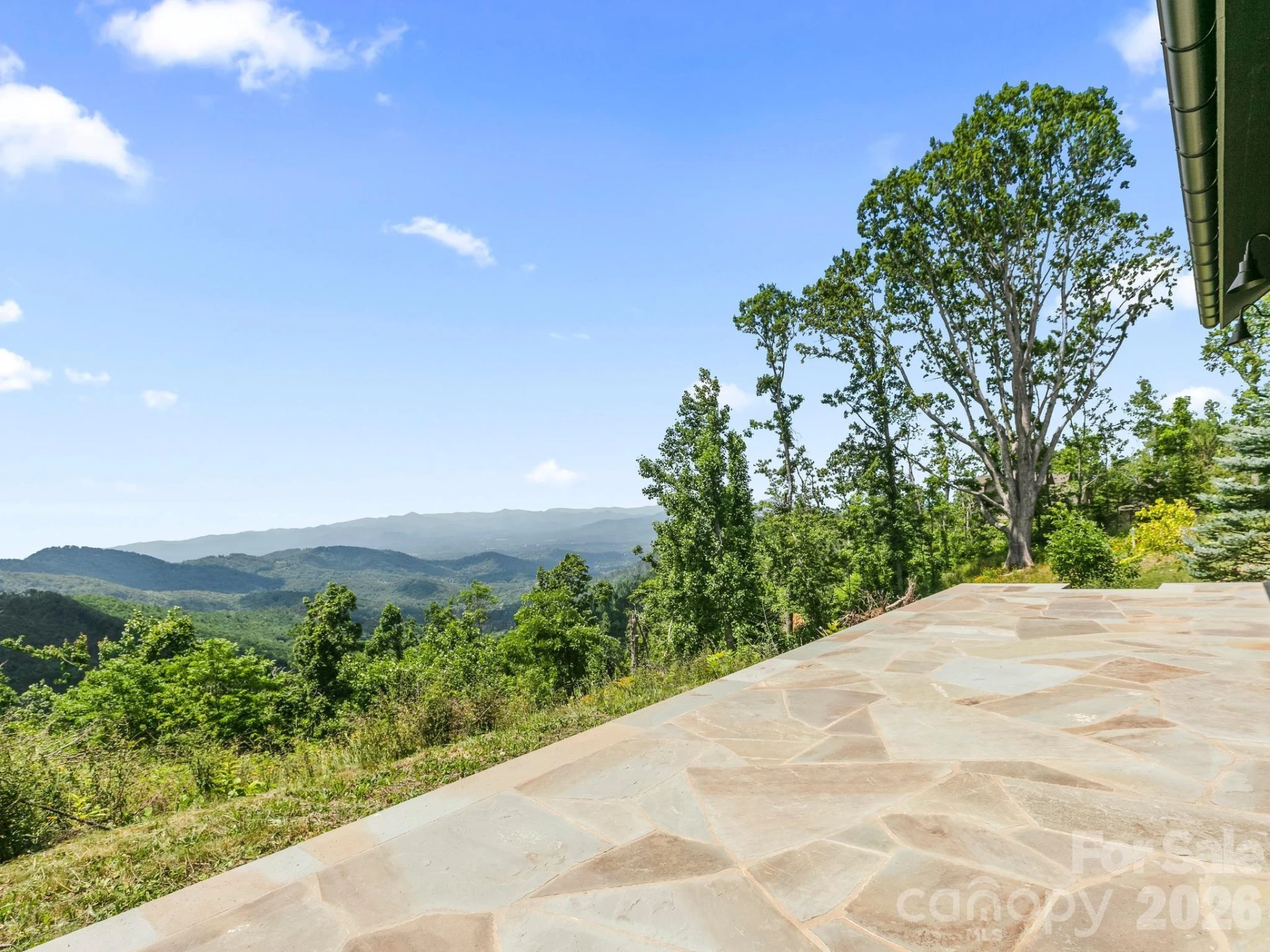 41 Windy Ridge Trail - Photo 5