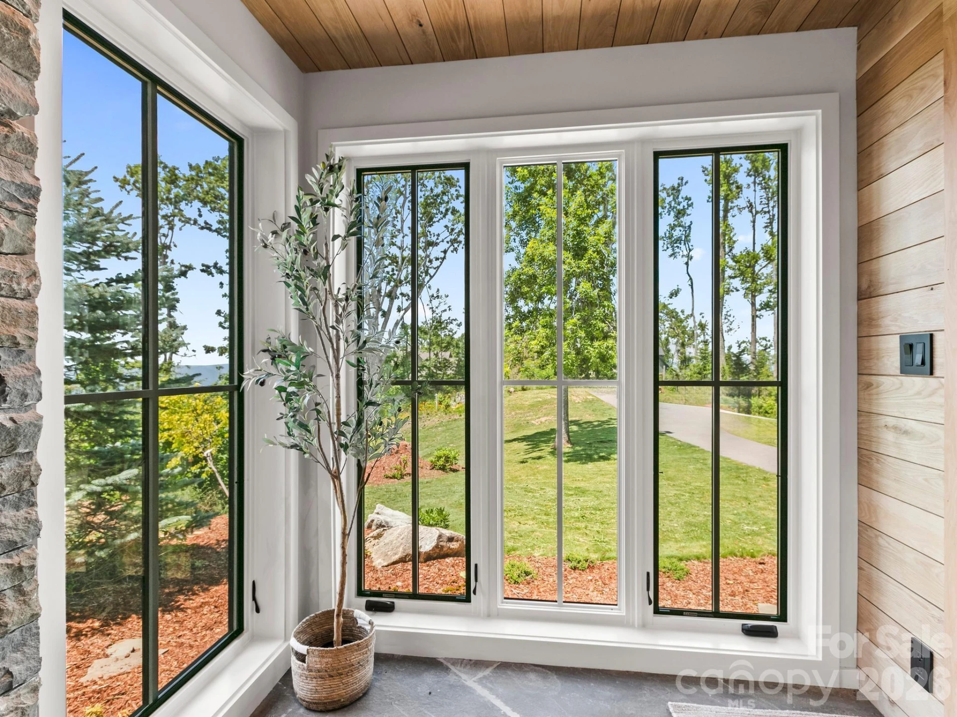 41 Windy Ridge Trail - Photo 7
