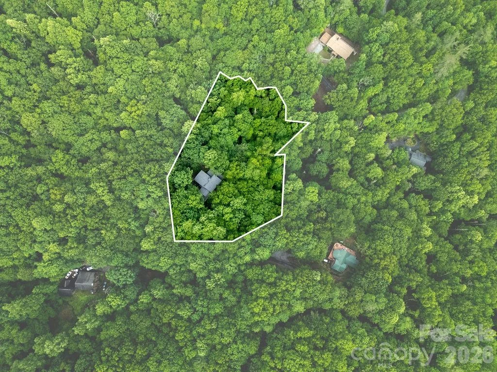 118 Little Bear Lane - Photo 43