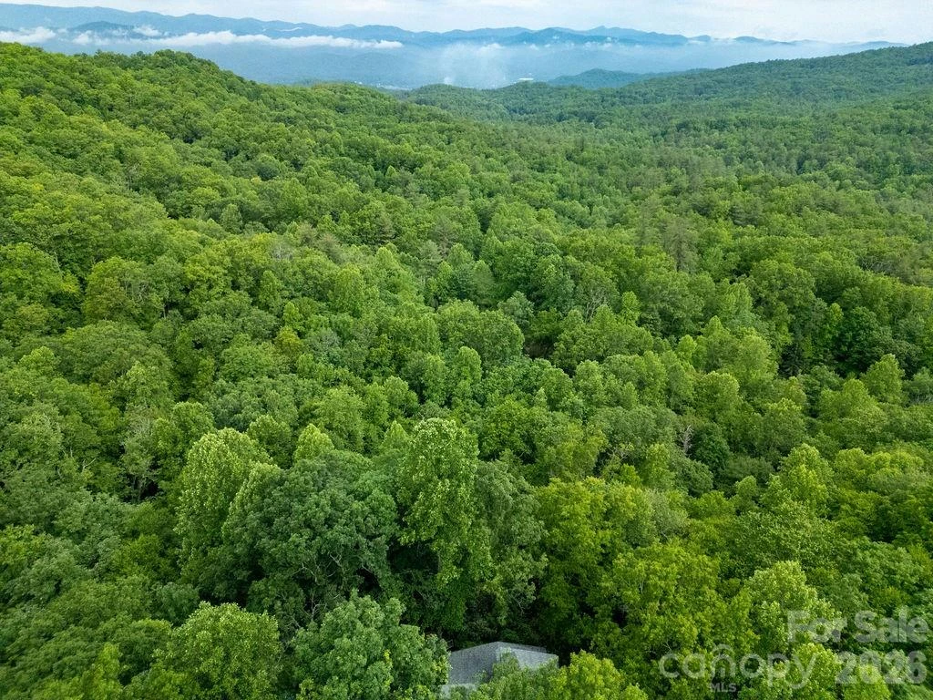 118 Little Bear Lane - Photo 44