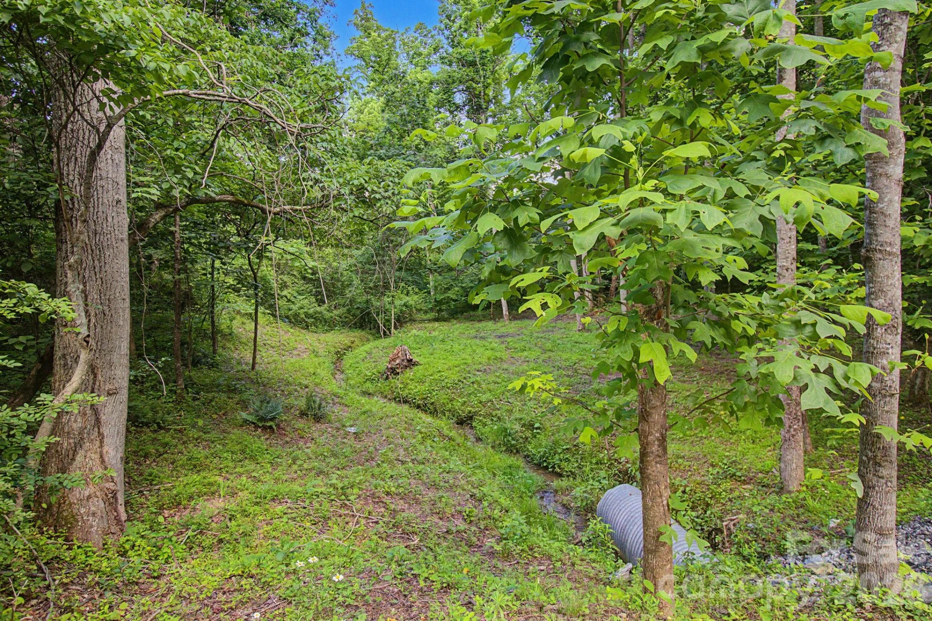 175 Pine Cove Lane - Photo 26