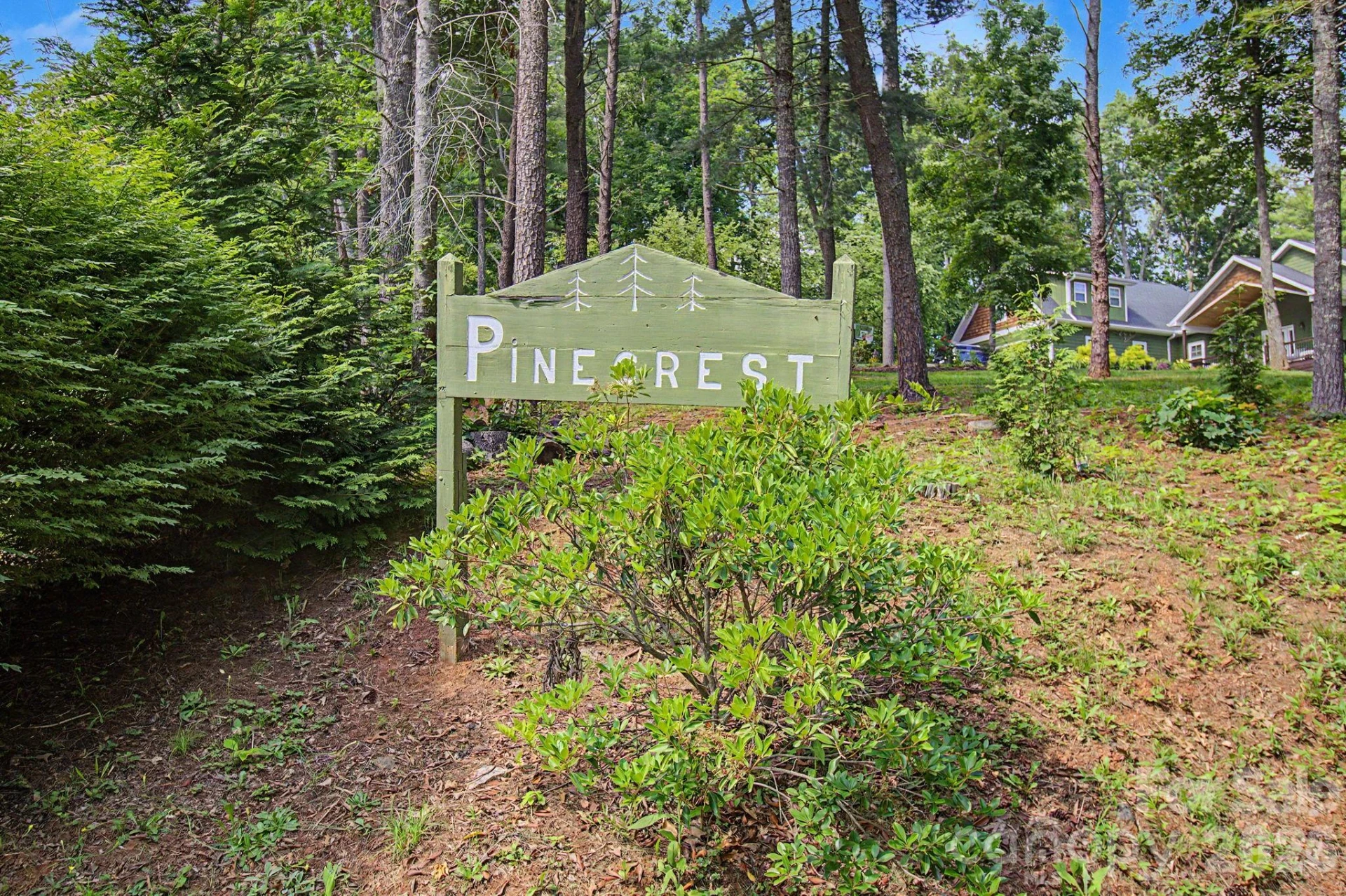 175 Pine Cove Lane - Photo 46