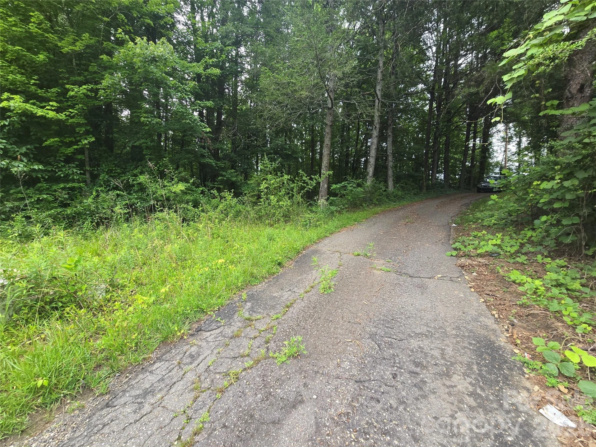99999 US 221 Business Extension #2 - Photo 10