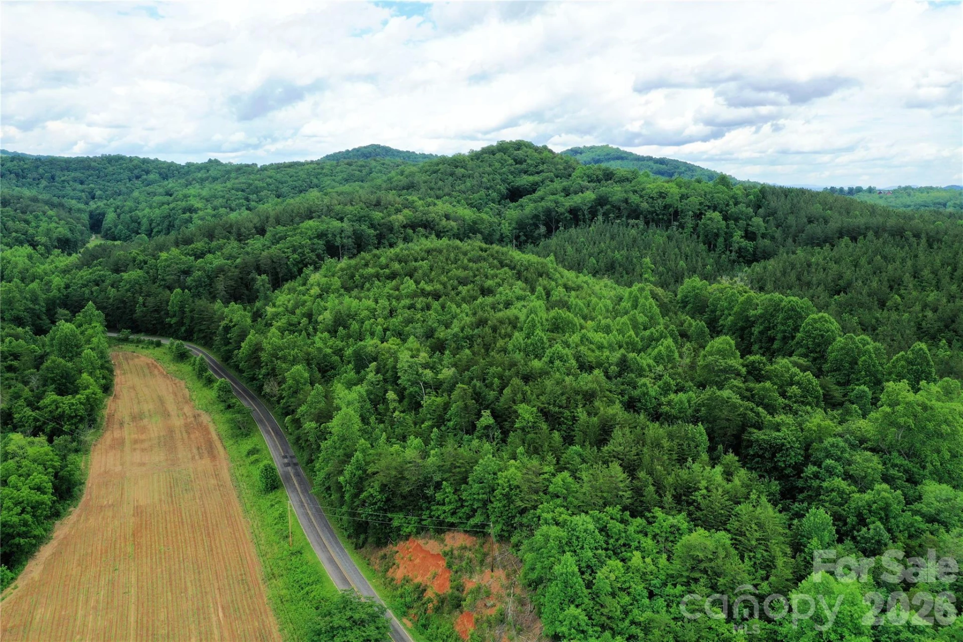 00 Herman Wilson Road - Photo 5