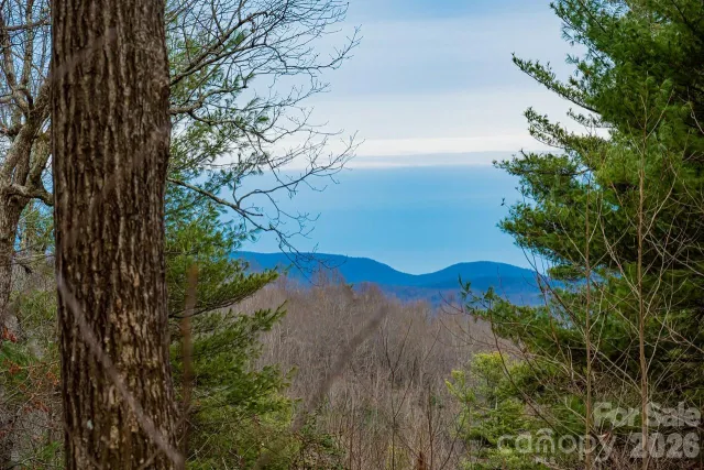 000 Hollybrook Drive, Flat Rock, NC, 28731