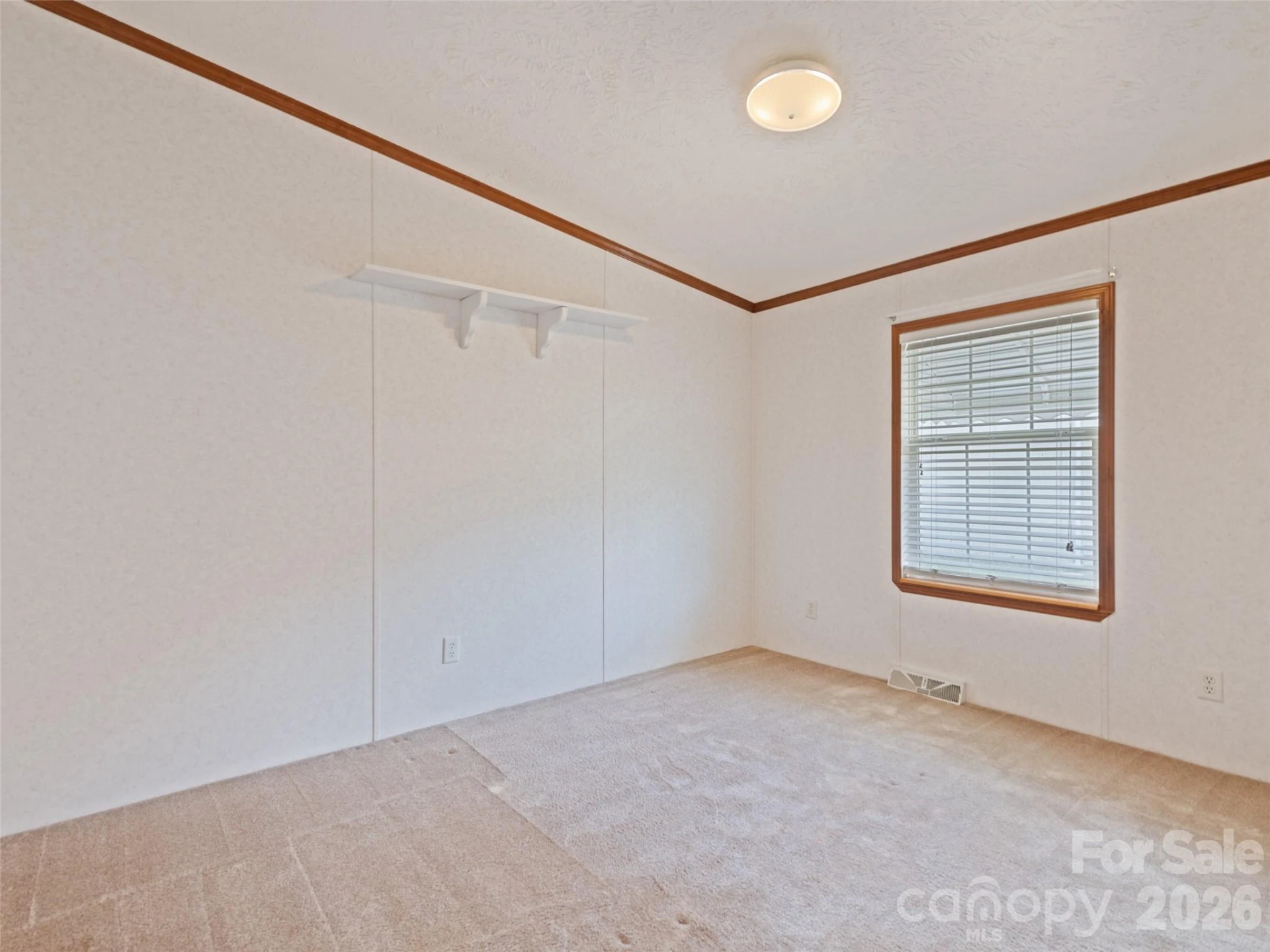 25 Lester Lane - Photo 30