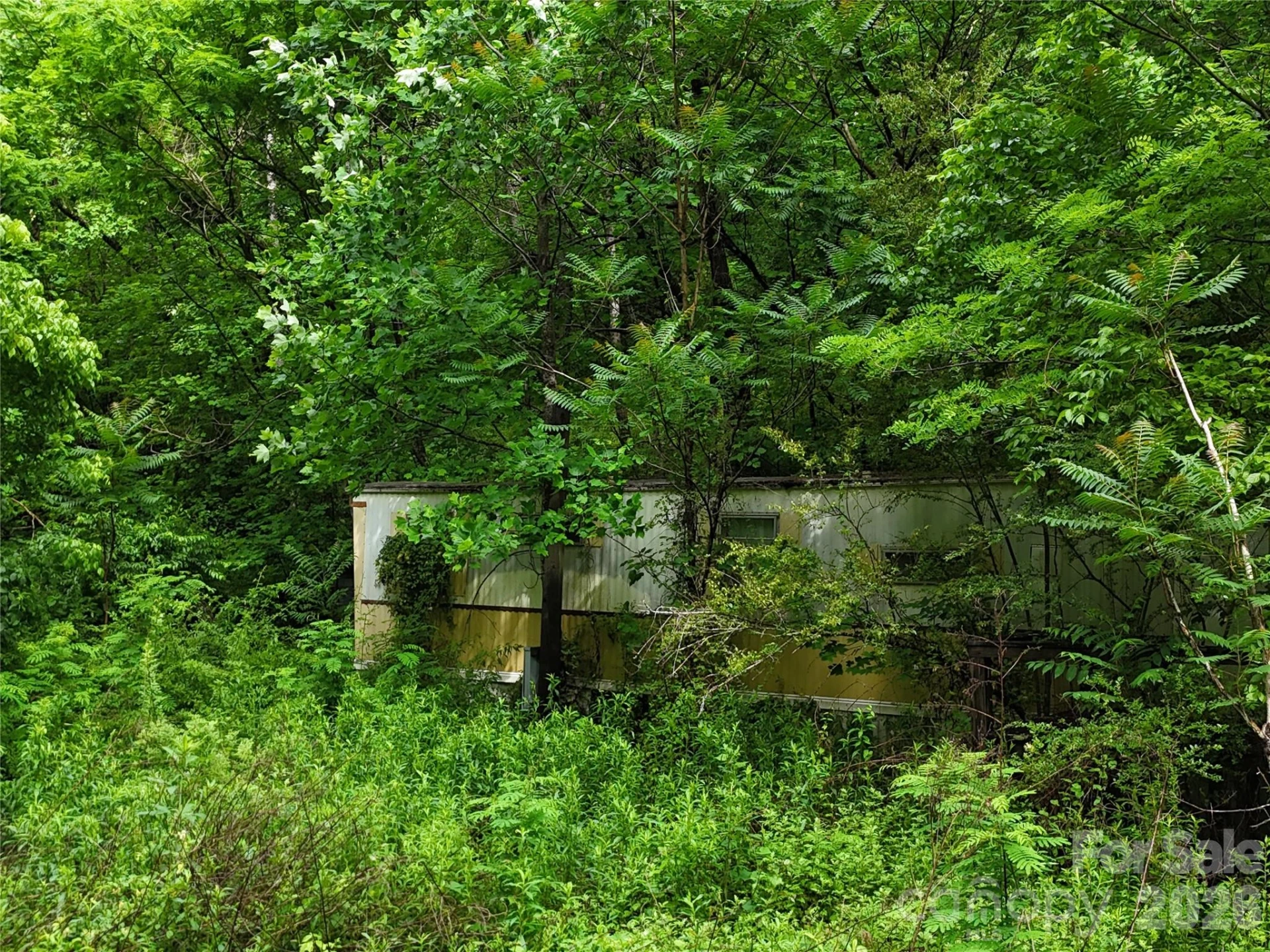 137 Shanty Town Road - Photo 6