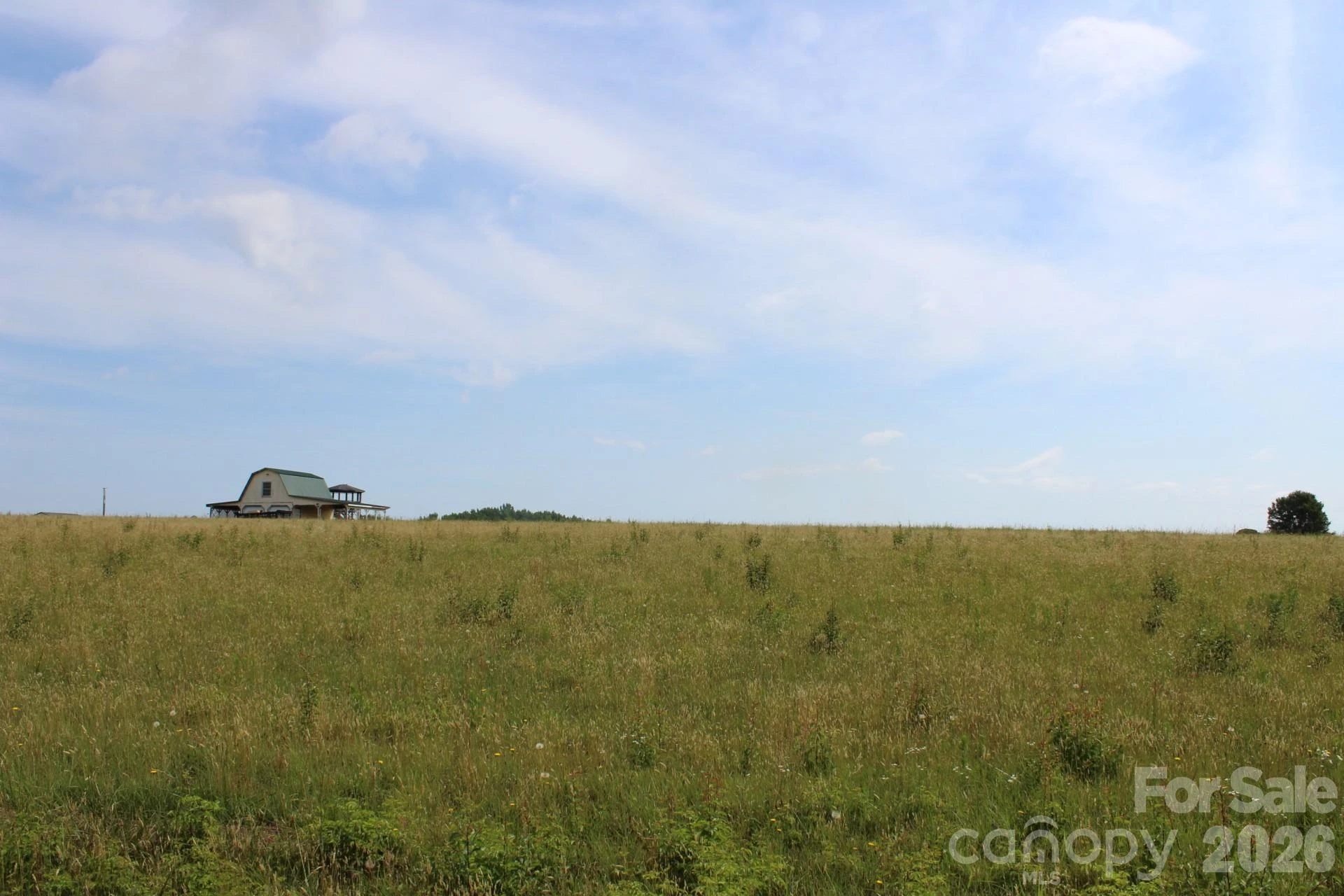 Lot 2 Lambs Grill Road #2 - Photo 12