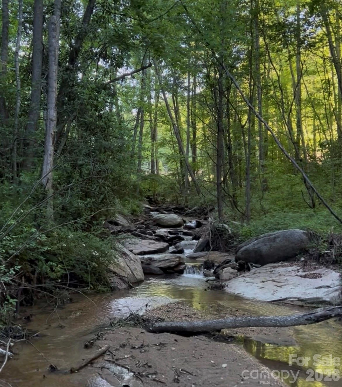 204 Rush Creek Road - Photo 11