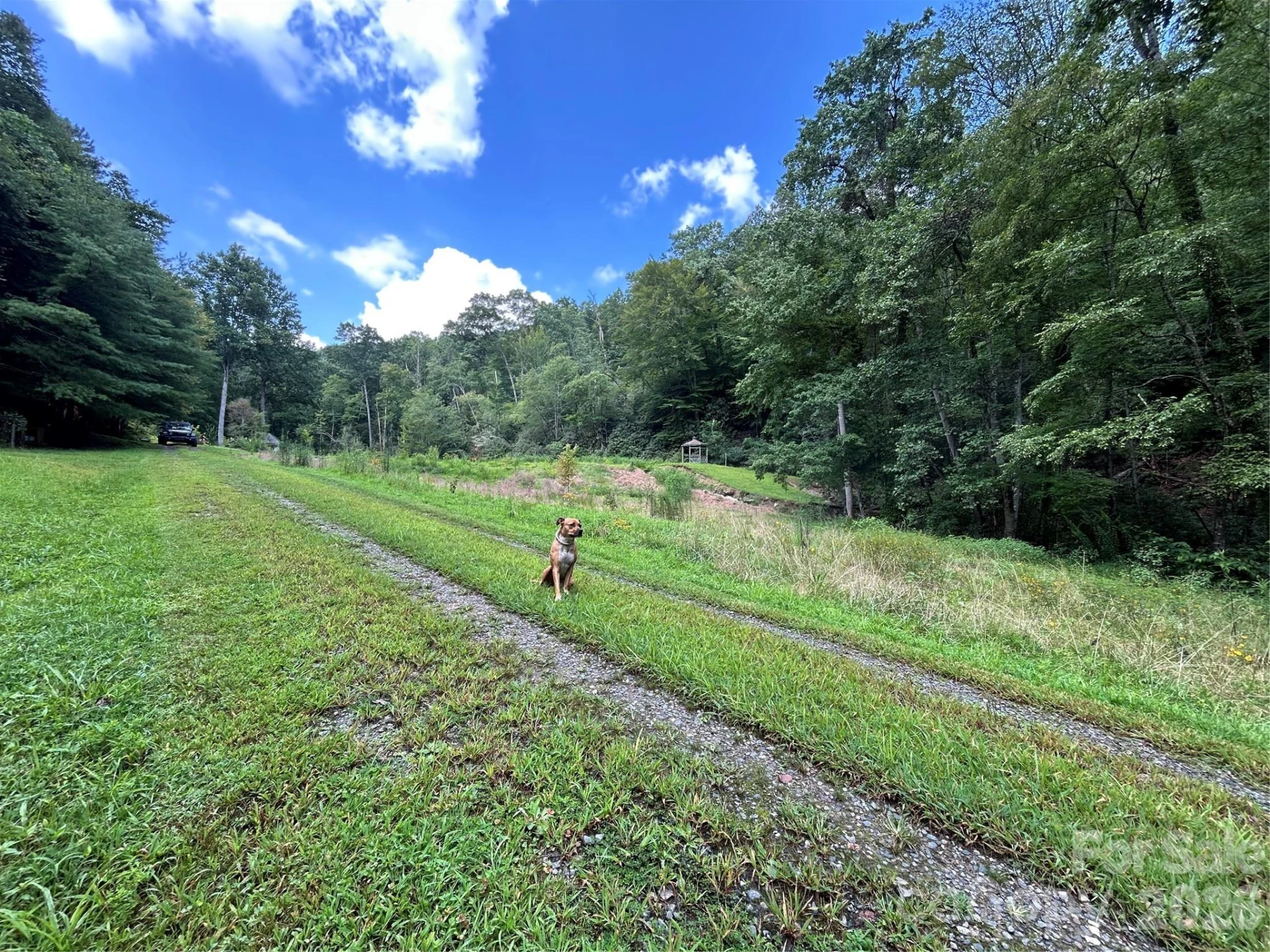 204 Rush Creek Road - Photo 18