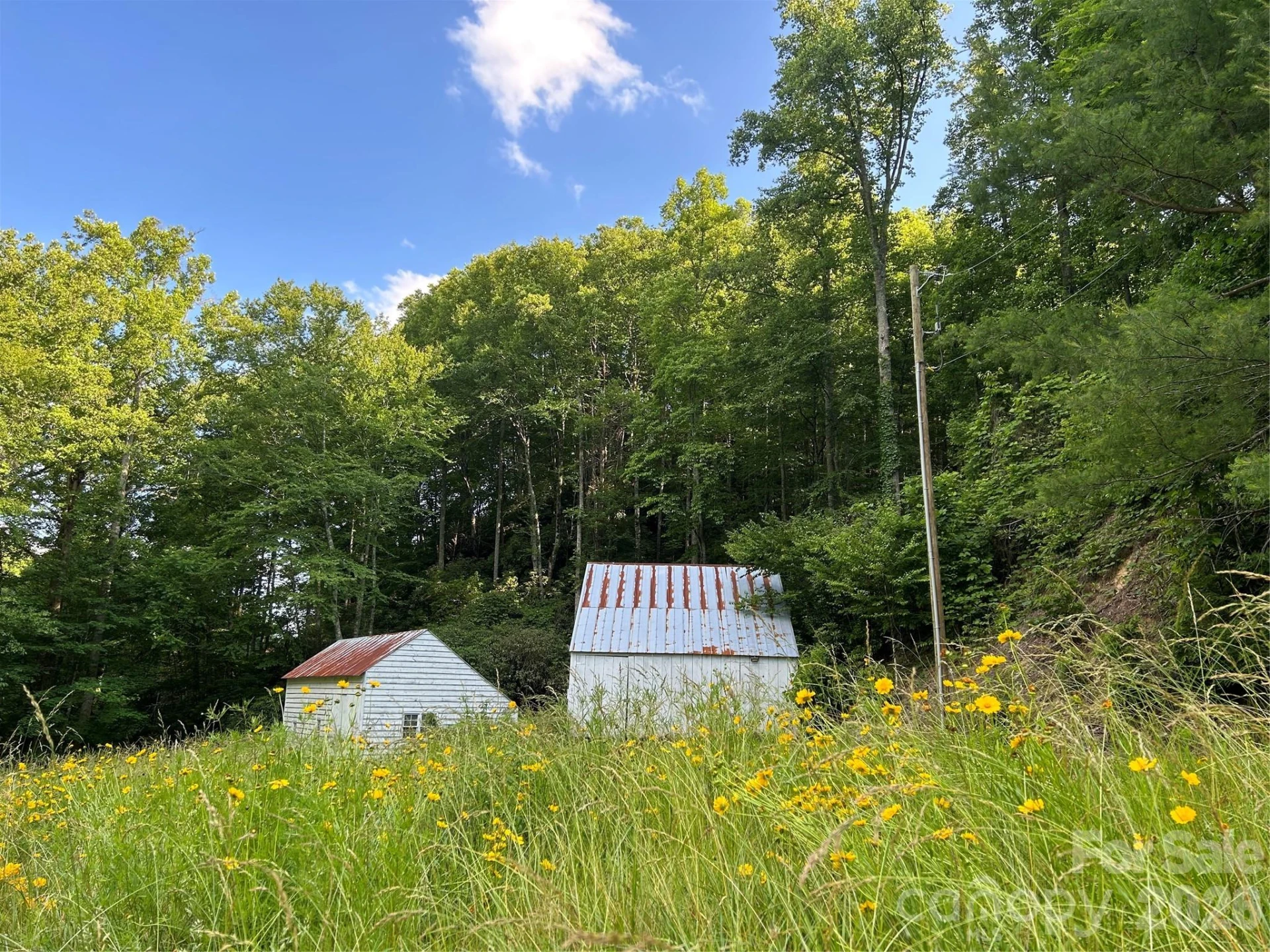 204 Rush Creek Road - Photo 20