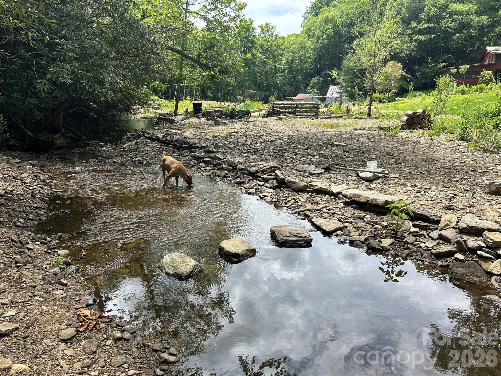 204 Rush Creek Road - Photo 7