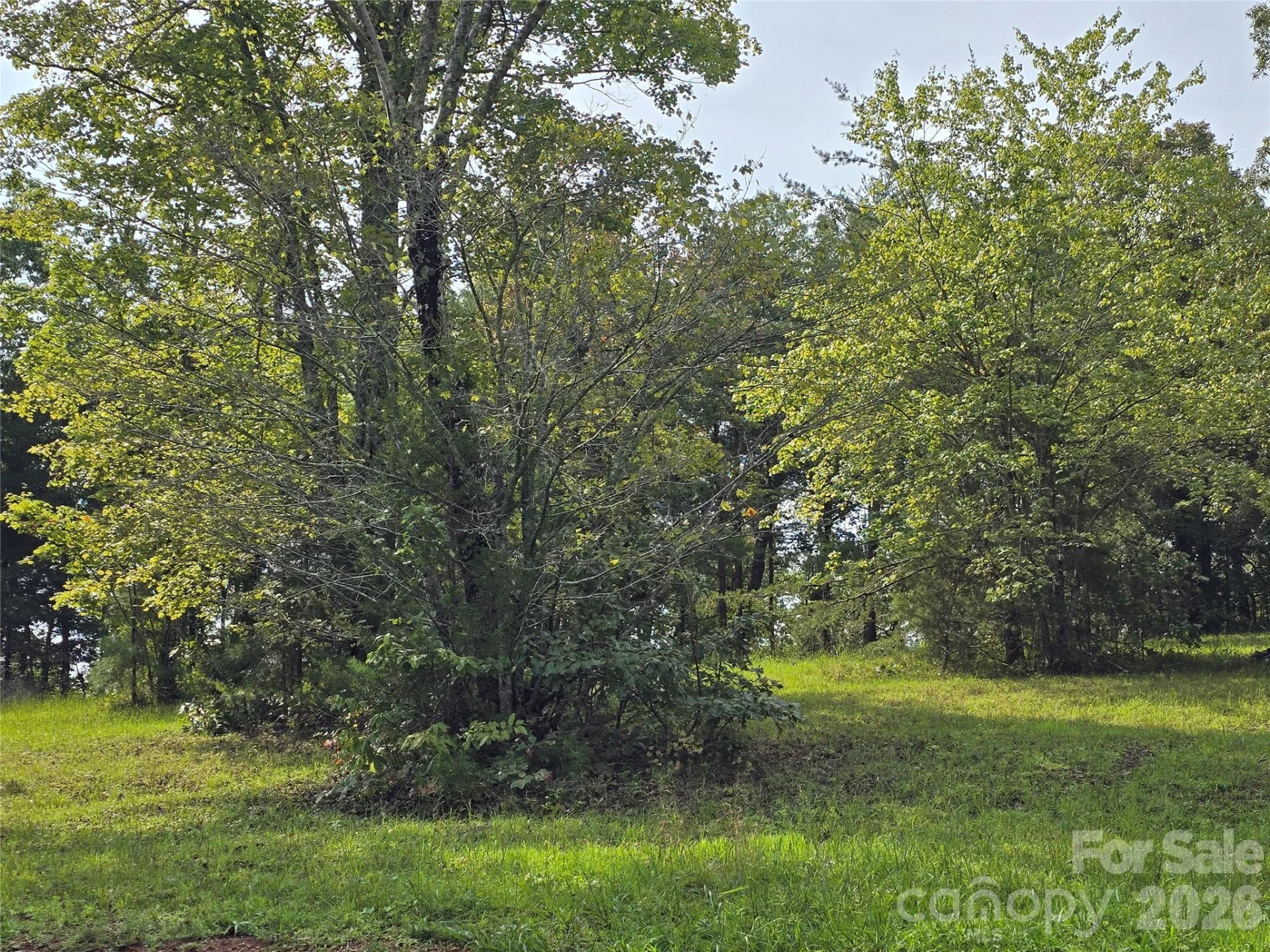 1696 County Line Road - Photo 3
