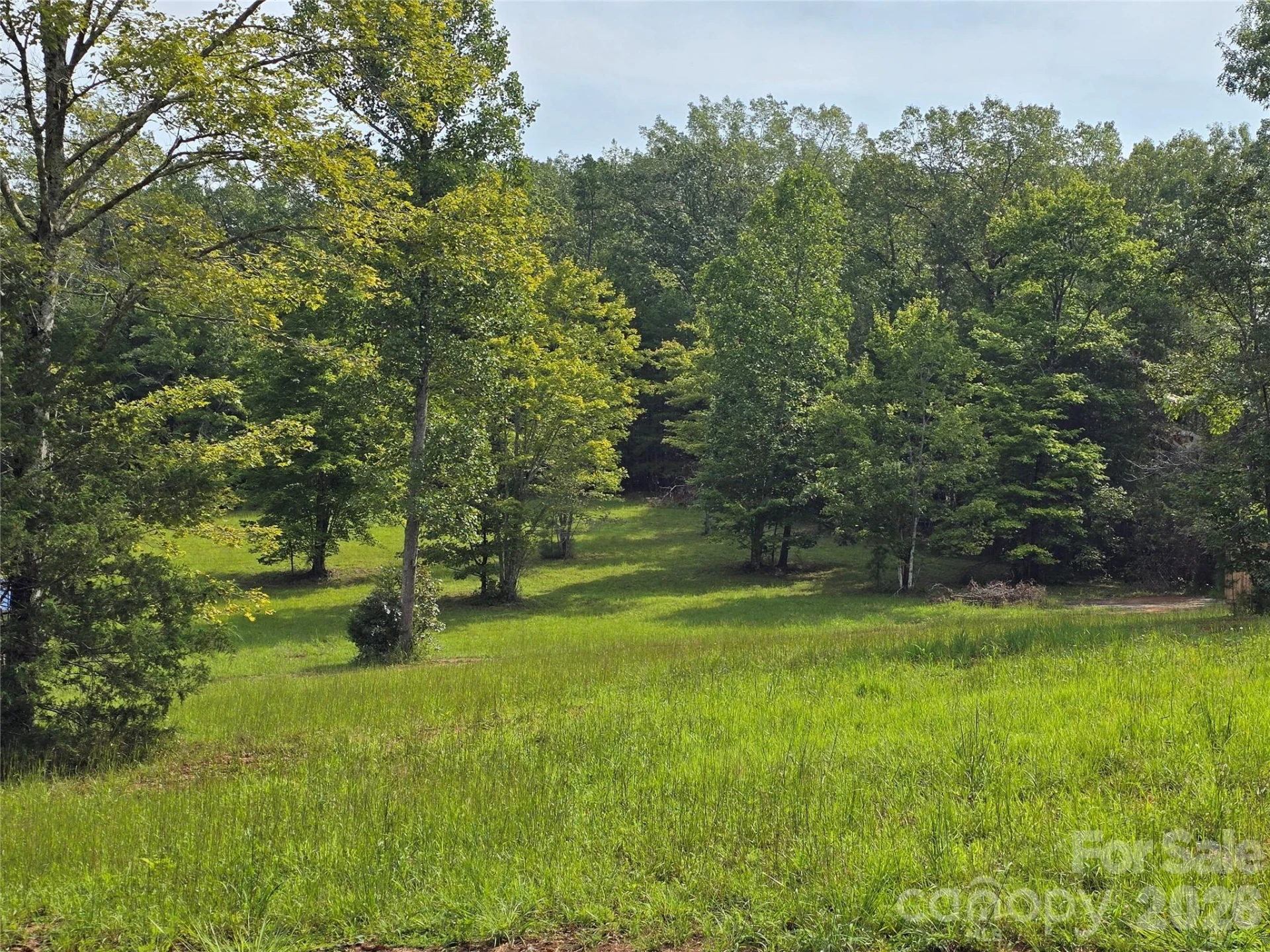 1696 County Line Road - Photo 4